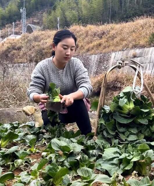 抖音武夷乡愁沈丹个人资料简介，回应真实身份是离异创业，女老板也是励志企业家-秀吧