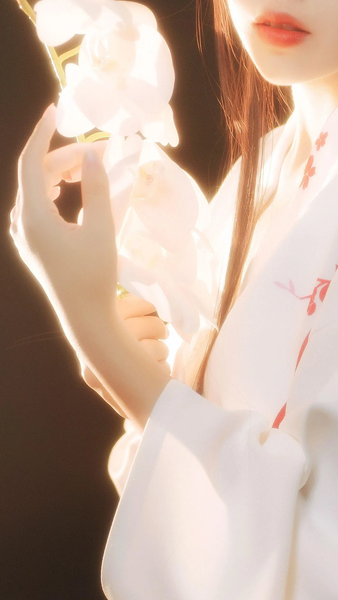 不呆猫 – NO.22 和服 [39P]插图1