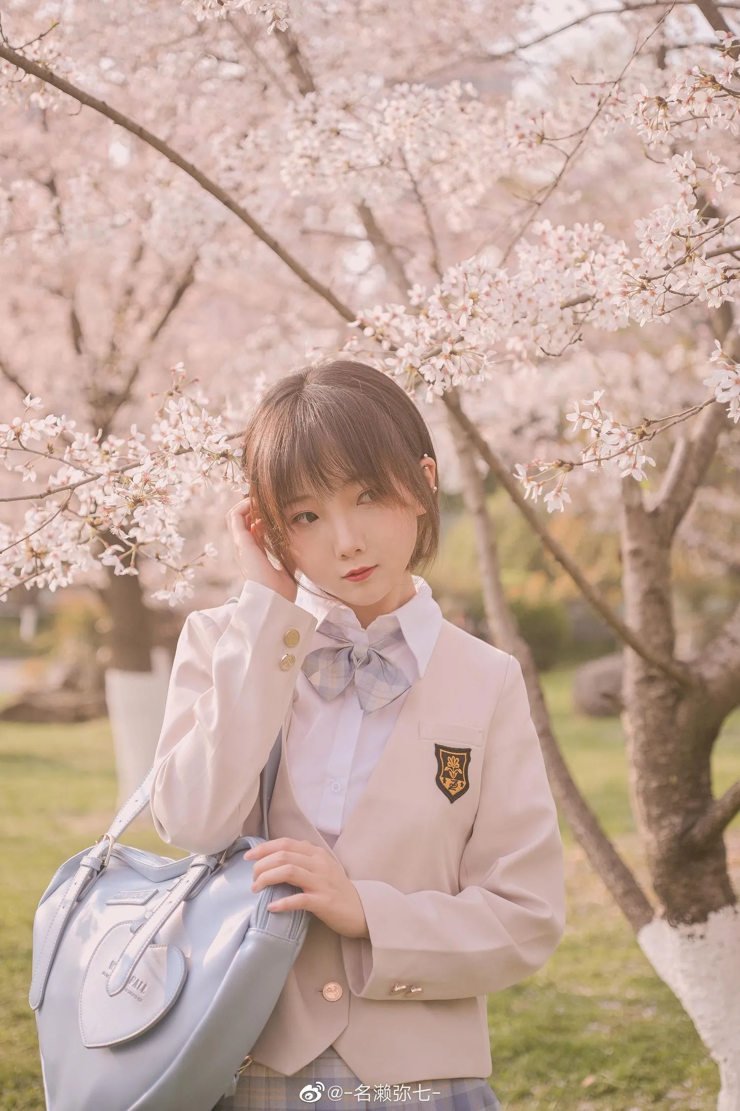 名濑弥七 NO.003 樱花 [14P]插图