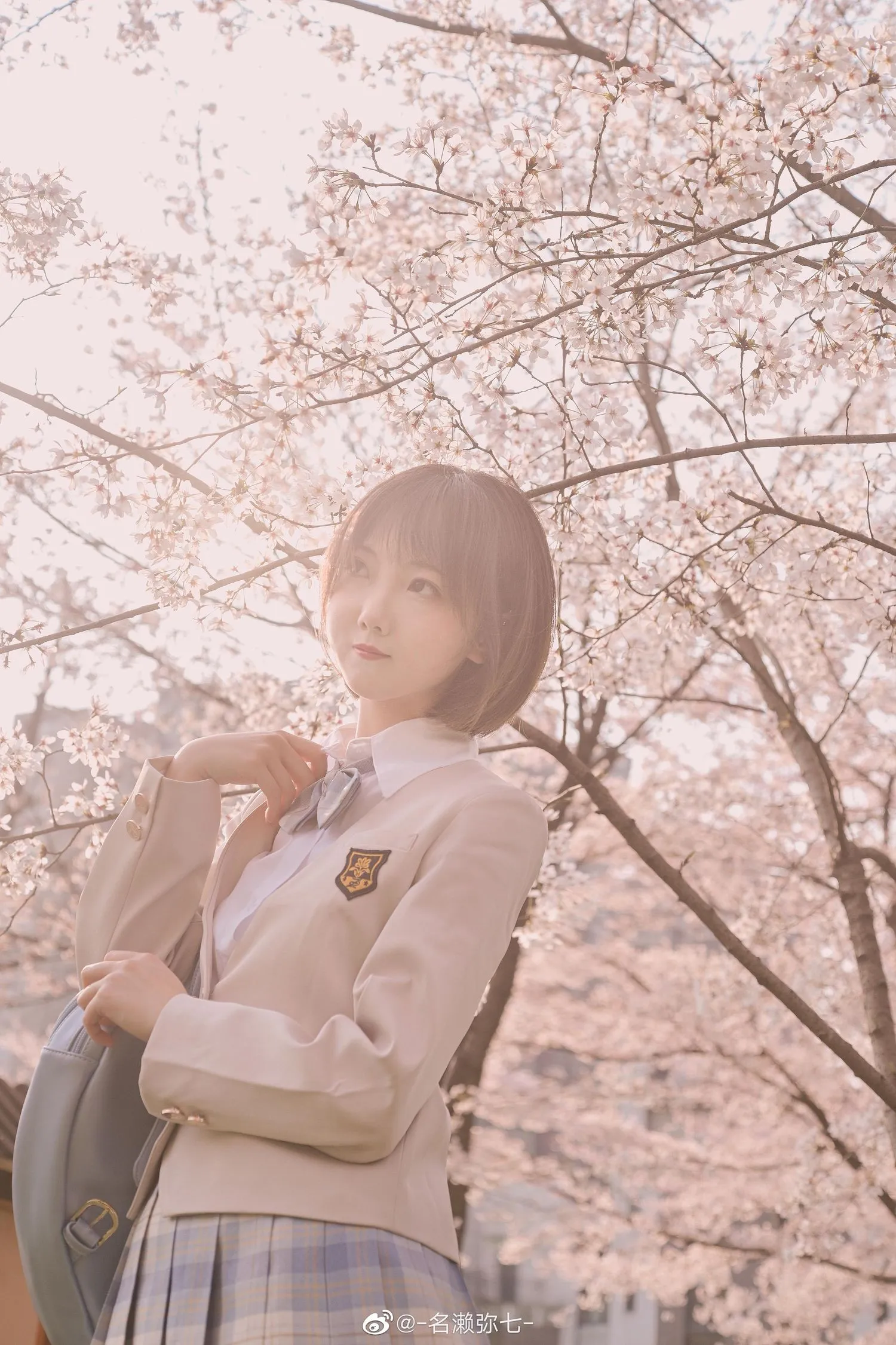 名濑弥七 NO.003 樱花 [14P]插图1