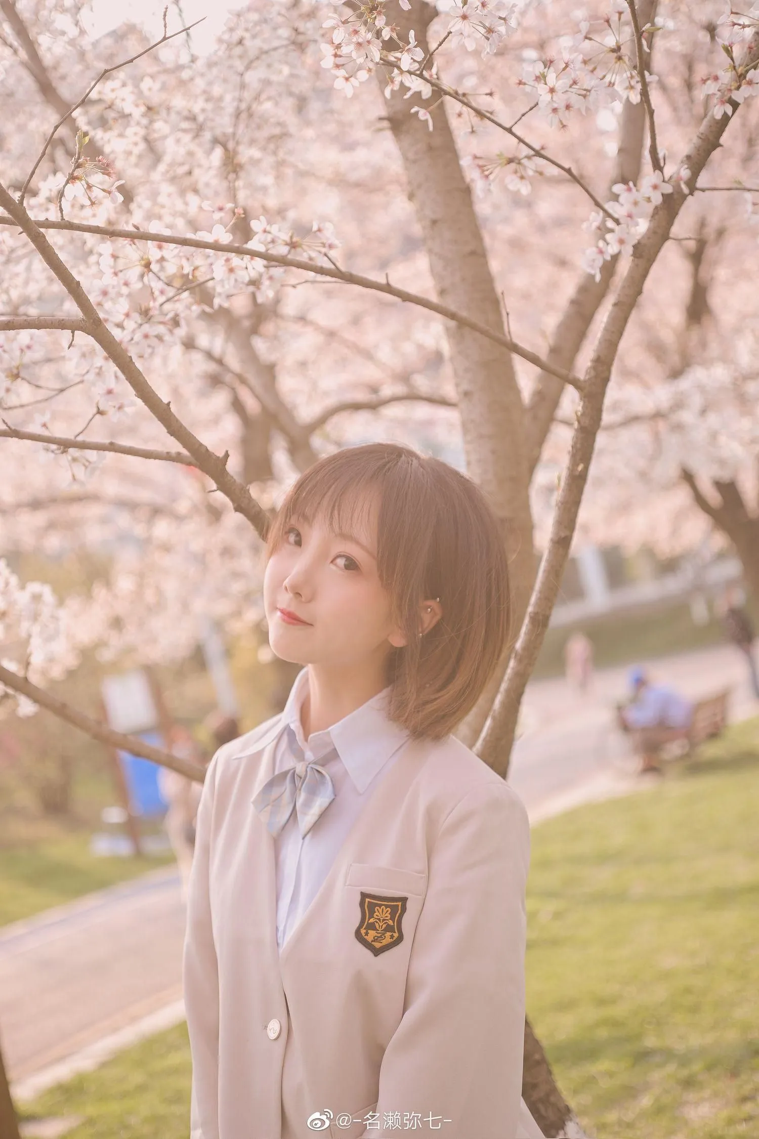 名濑弥七 NO.003 樱花 [14P]插图2