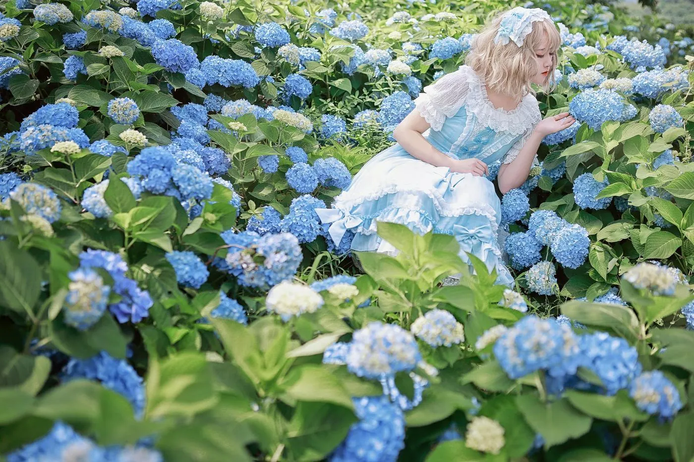 夏柠柠 – NO.24 LOLITA带你去看那漫山遍野的绣球花好吗？ [9P]插图5
