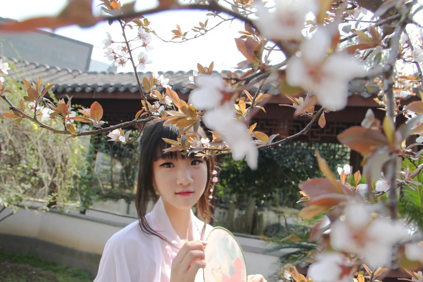 夏柠柠 – NO.47 汉服樱花粉 [12P]插图6