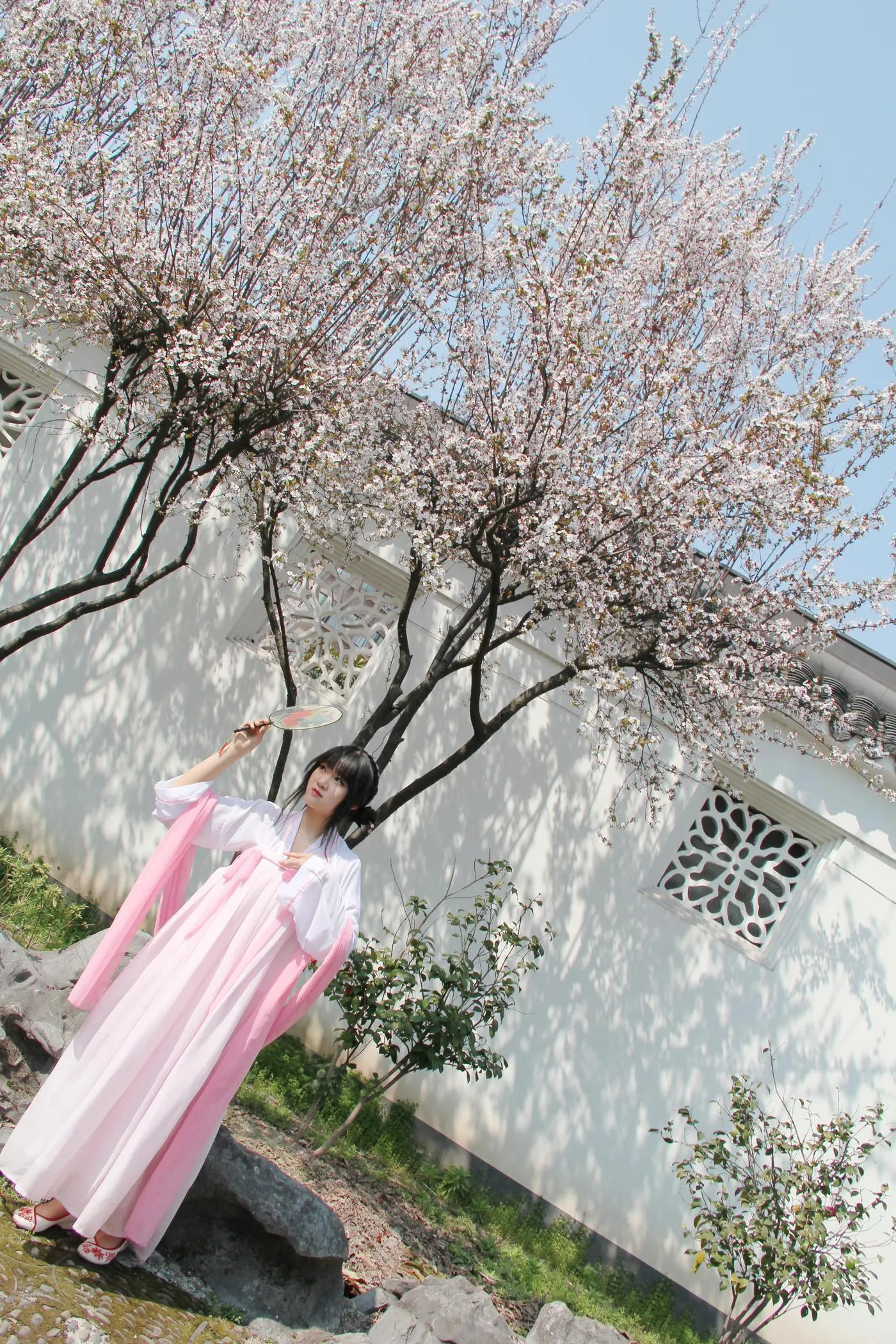 夏柠柠 – NO.47 汉服樱花粉 [12P]插图