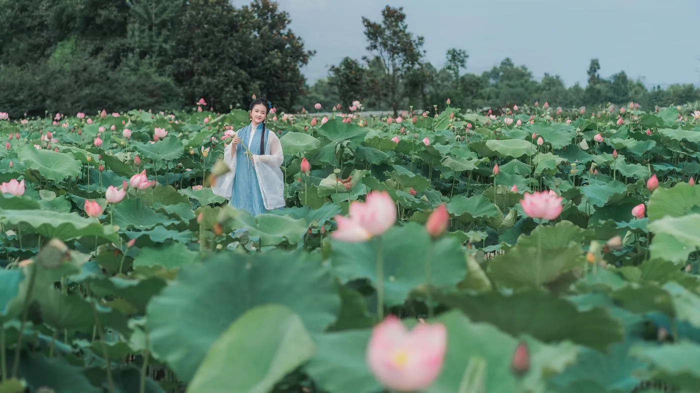 拿相机的执义 – NO.39 汉服写真成都约拍『莲花渡』 [9P]插图5