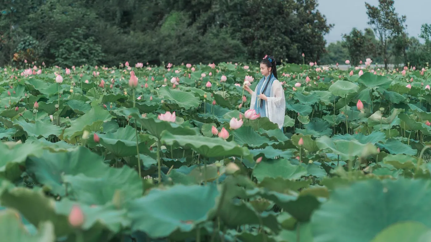 拿相机的执义 – NO.39 汉服写真成都约拍『莲花渡』 [9P]插图6