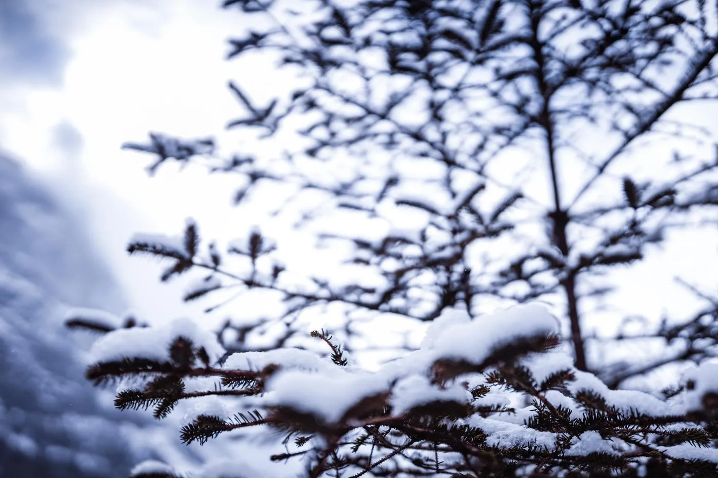 时雨-Jiu – NO.17 明日方舟COS初雪明日方舟COS2 [11P]插图5