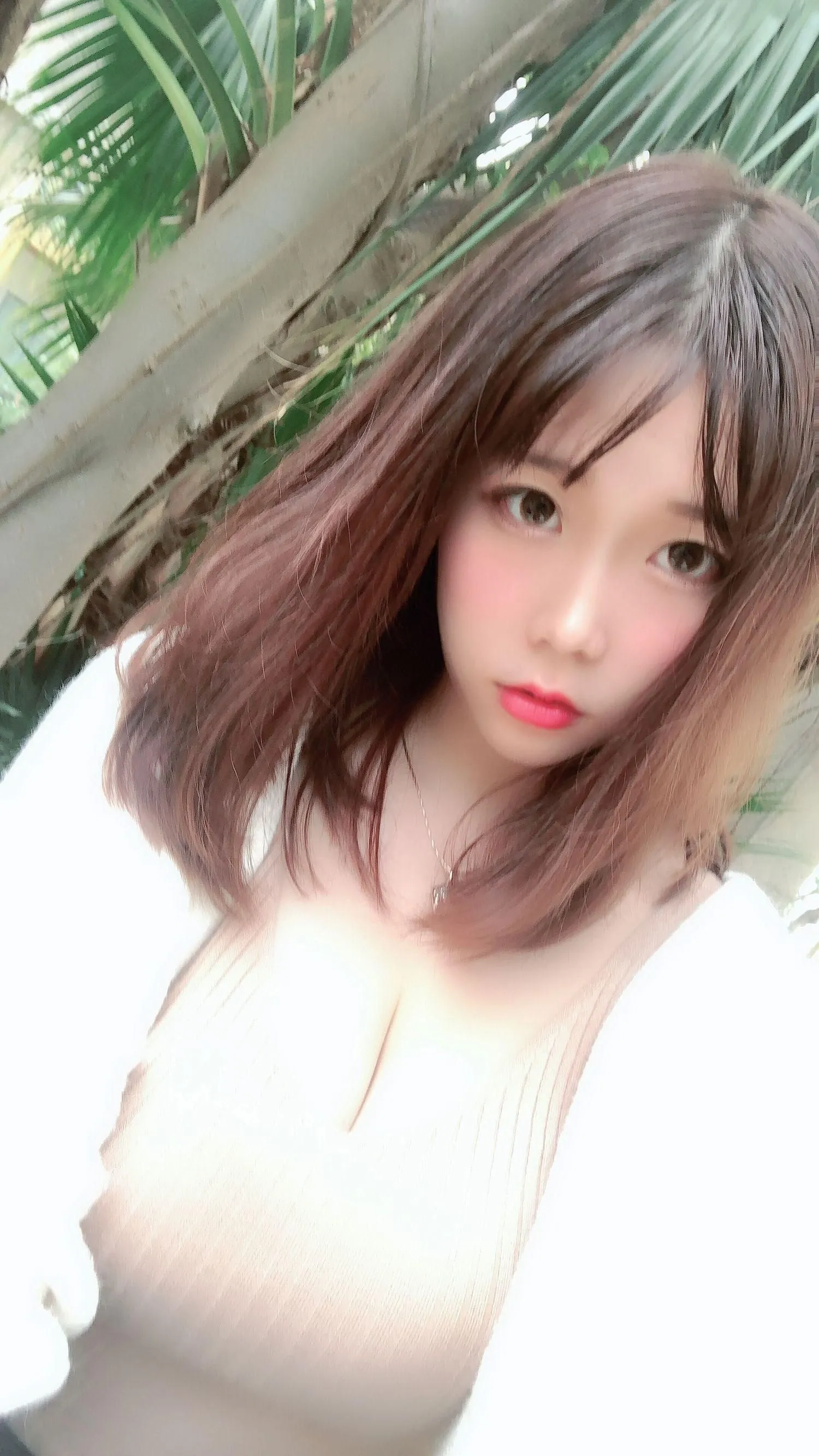 是一只废喵了 NO.005 爱发电时期17套合集-日常杂图 [83P]插图