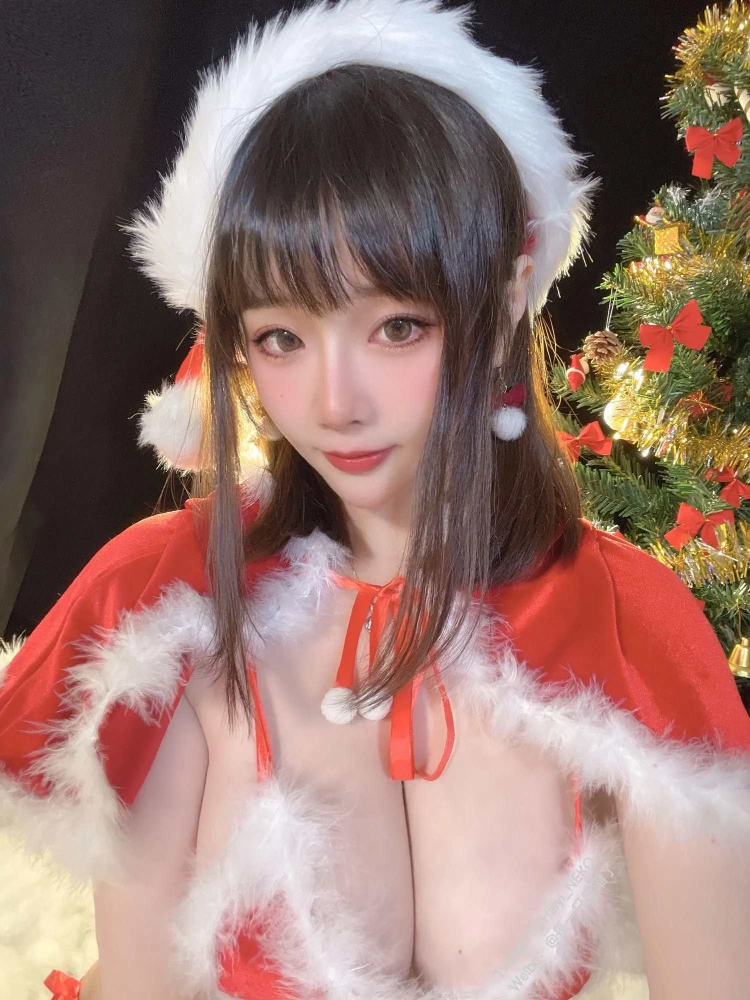 是一只废喵了 NO.006 圣诞比基尼连衣裙 [72P]插图1