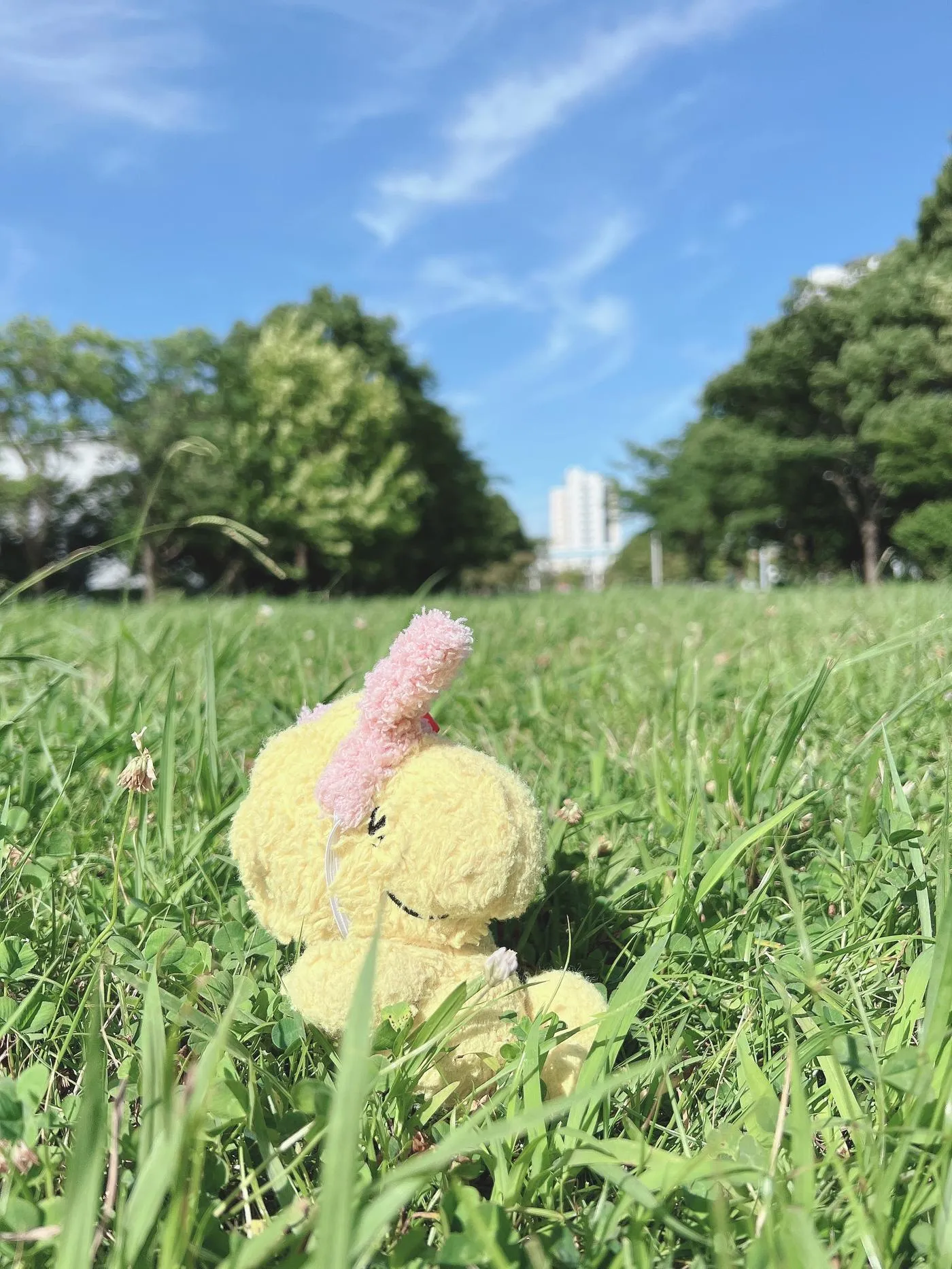 柳丸 – NO.10 [Fantia] 2022年07月写真合集(15期)-2022-07-25 2着分✊私服撮影会の思い出 [66P]插图7