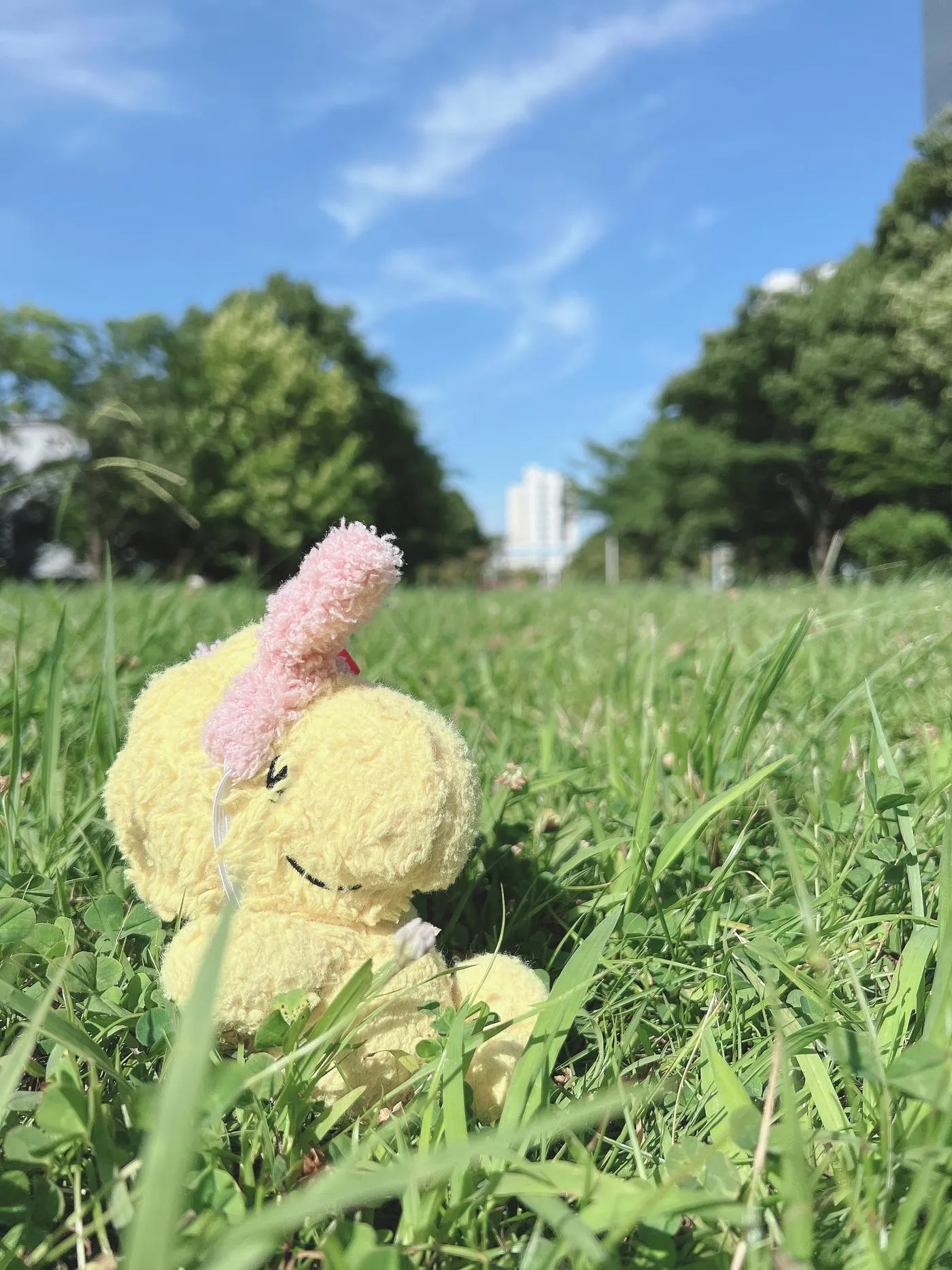 柳丸 – NO.10 [Fantia] 2022年07月写真合集(15期)-2022-07-25 2着分✊私服撮影会の思い出 [66P]插图8