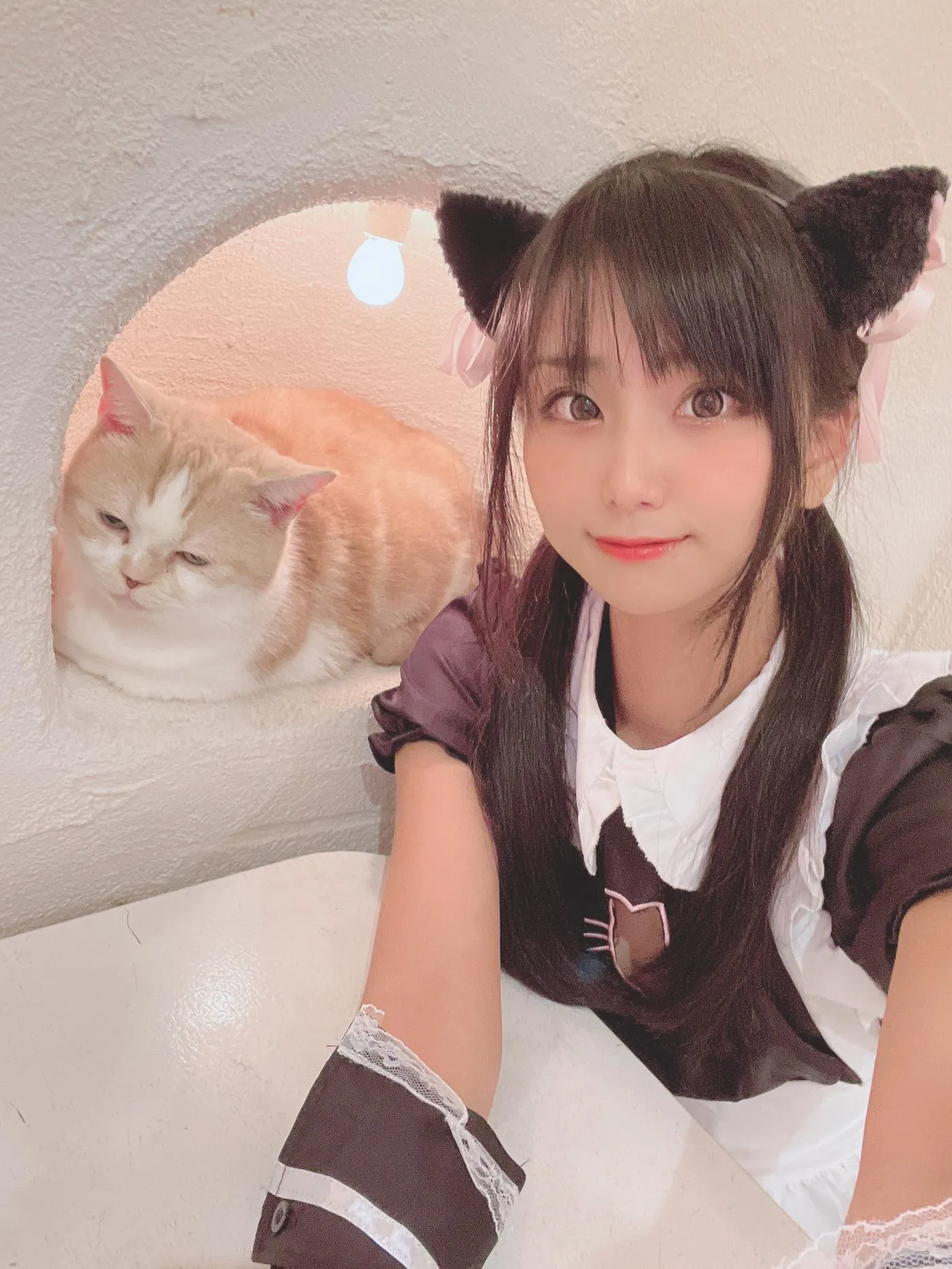 柳丸 – NO.12 [Fantia] 2022年09月写真合集(14期)-2022-09-26 猫カフェでﾈｺﾁｬﾝな柳丸 [66P]插图5