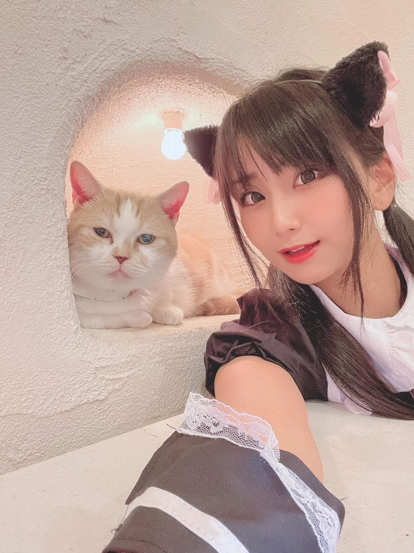 柳丸 – NO.12 [Fantia] 2022年09月写真合集(14期)-2022-09-26 猫カフェでﾈｺﾁｬﾝな柳丸 [66P]插图6