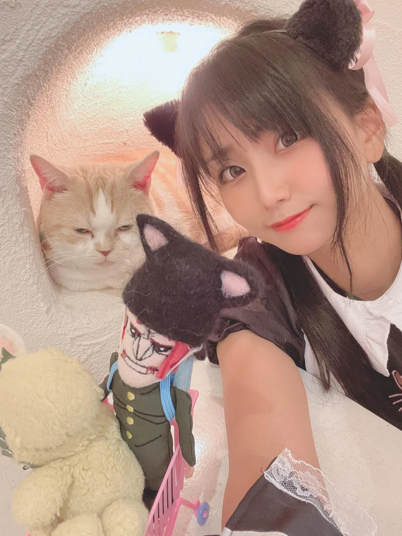 柳丸 – NO.12 [Fantia] 2022年09月写真合集(14期)-2022-09-26 猫カフェでﾈｺﾁｬﾝな柳丸 [66P]插图7