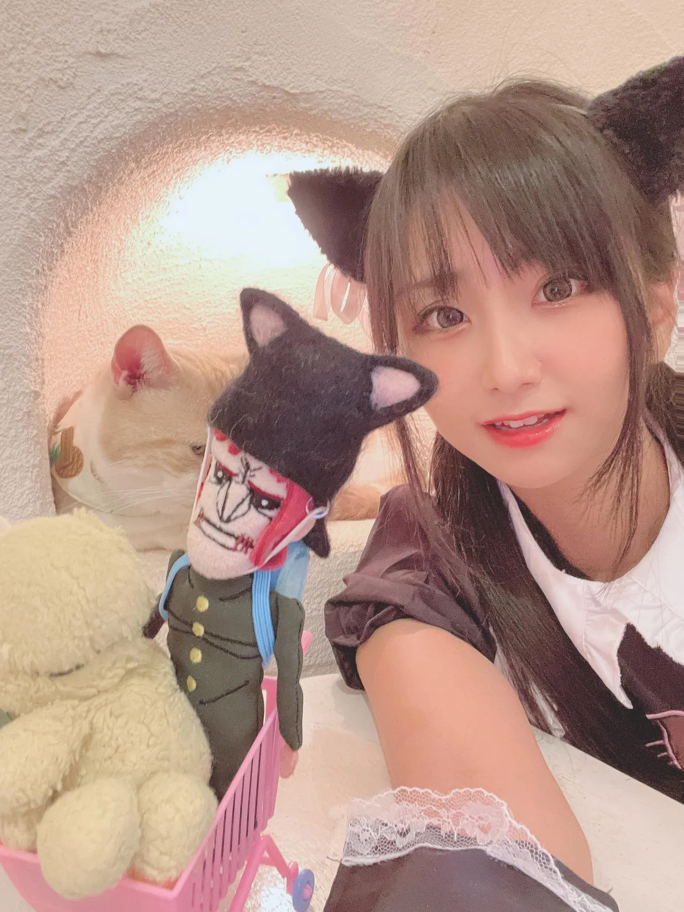 柳丸 – NO.12 [Fantia] 2022年09月写真合集(14期)-2022-09-26 猫カフェでﾈｺﾁｬﾝな柳丸 [66P]插图8