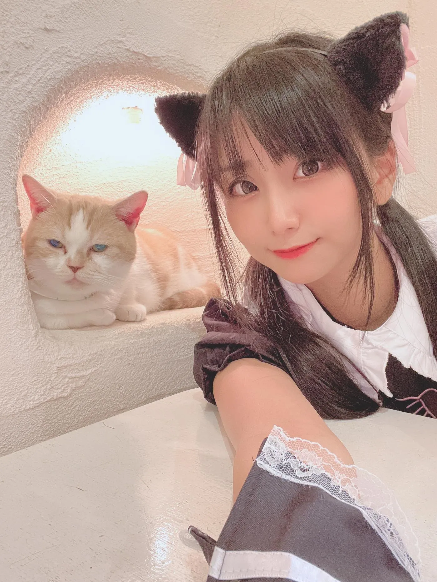 柳丸 – NO.12 [Fantia] 2022年09月写真合集(14期)-2022-09-26 猫カフェでﾈｺﾁｬﾝな柳丸 [66P]插图9