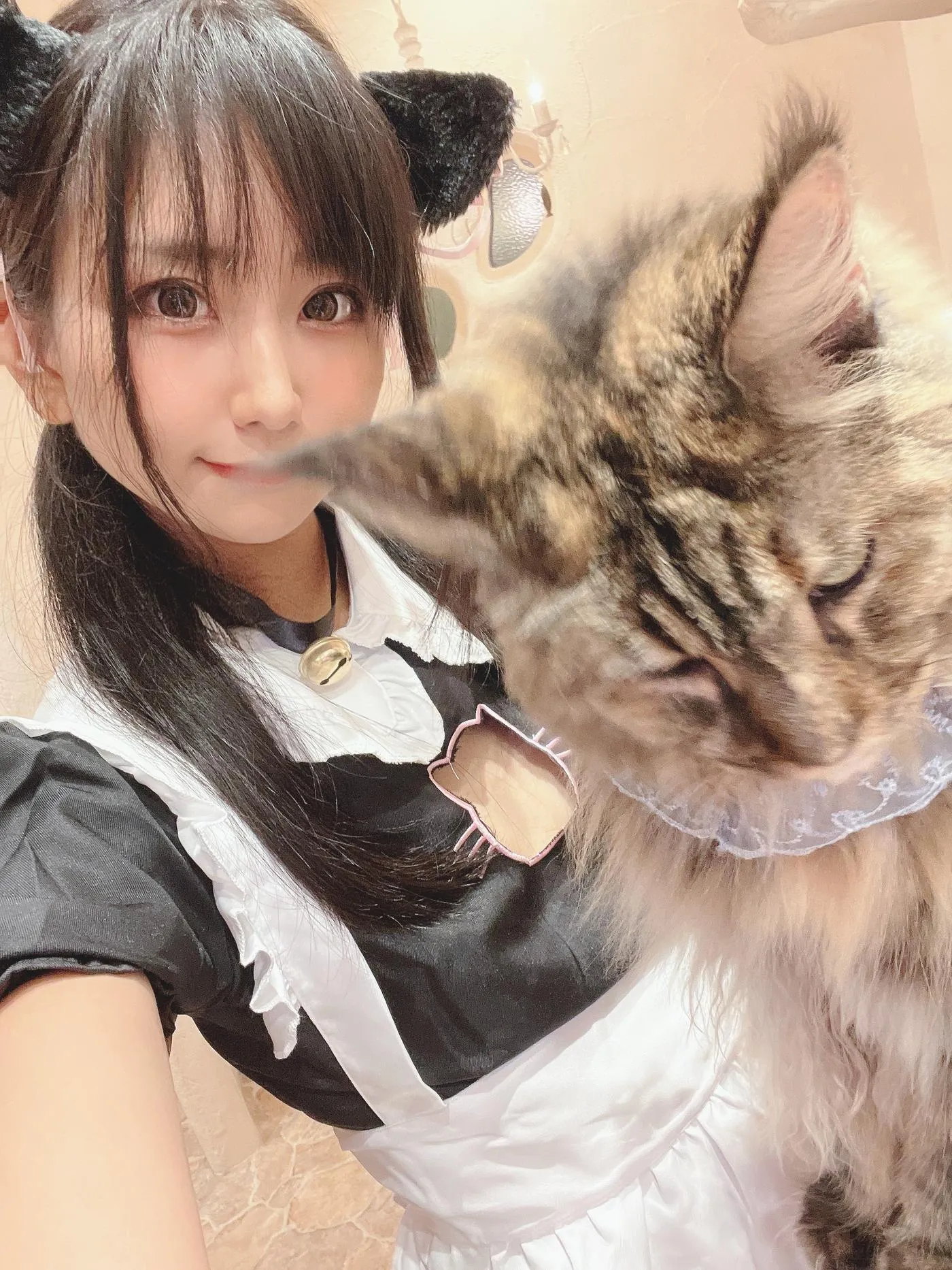 柳丸 – NO.12 [Fantia] 2022年09月写真合集(14期)-2022-09-26 猫カフェでﾈｺﾁｬﾝな柳丸 [66P]插图