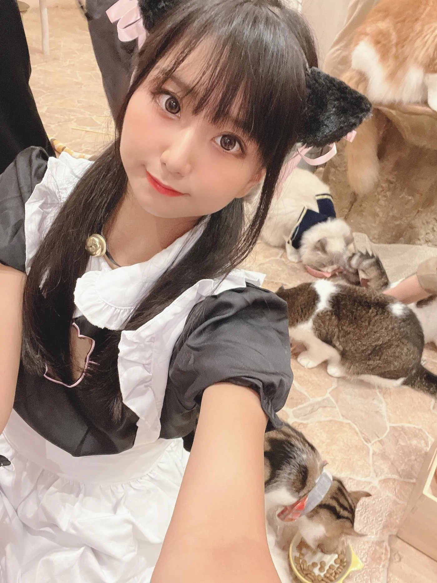 柳丸 – NO.12 [Fantia] 2022年09月写真合集(14期)-2022-09-26 猫カフェでﾈｺﾁｬﾝな柳丸 [66P]插图1