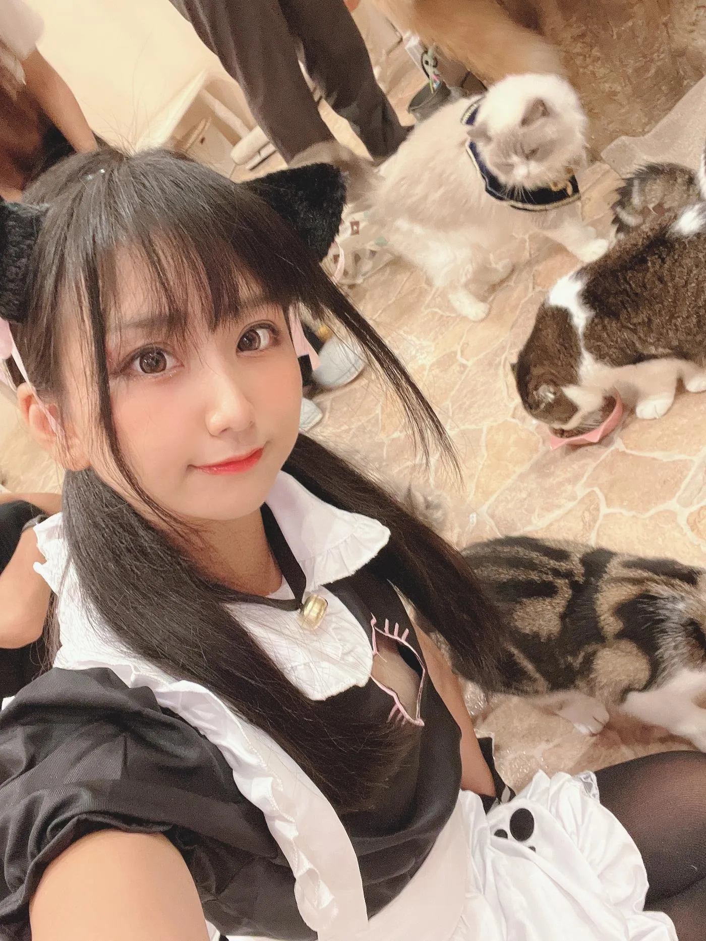 柳丸 – NO.12 [Fantia] 2022年09月写真合集(14期)-2022-09-26 猫カフェでﾈｺﾁｬﾝな柳丸 [66P]插图2