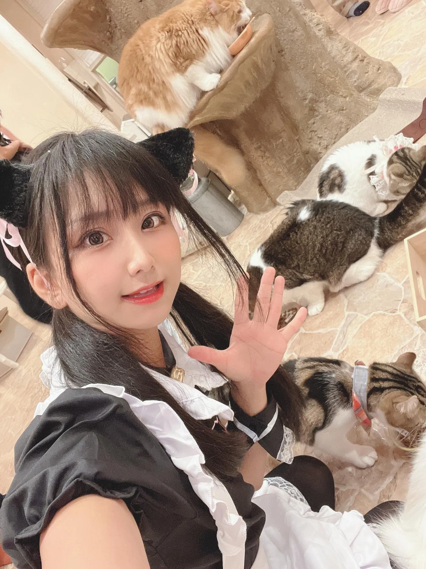 柳丸 – NO.12 [Fantia] 2022年09月写真合集(14期)-2022-09-26 猫カフェでﾈｺﾁｬﾝな柳丸 [66P]插图3