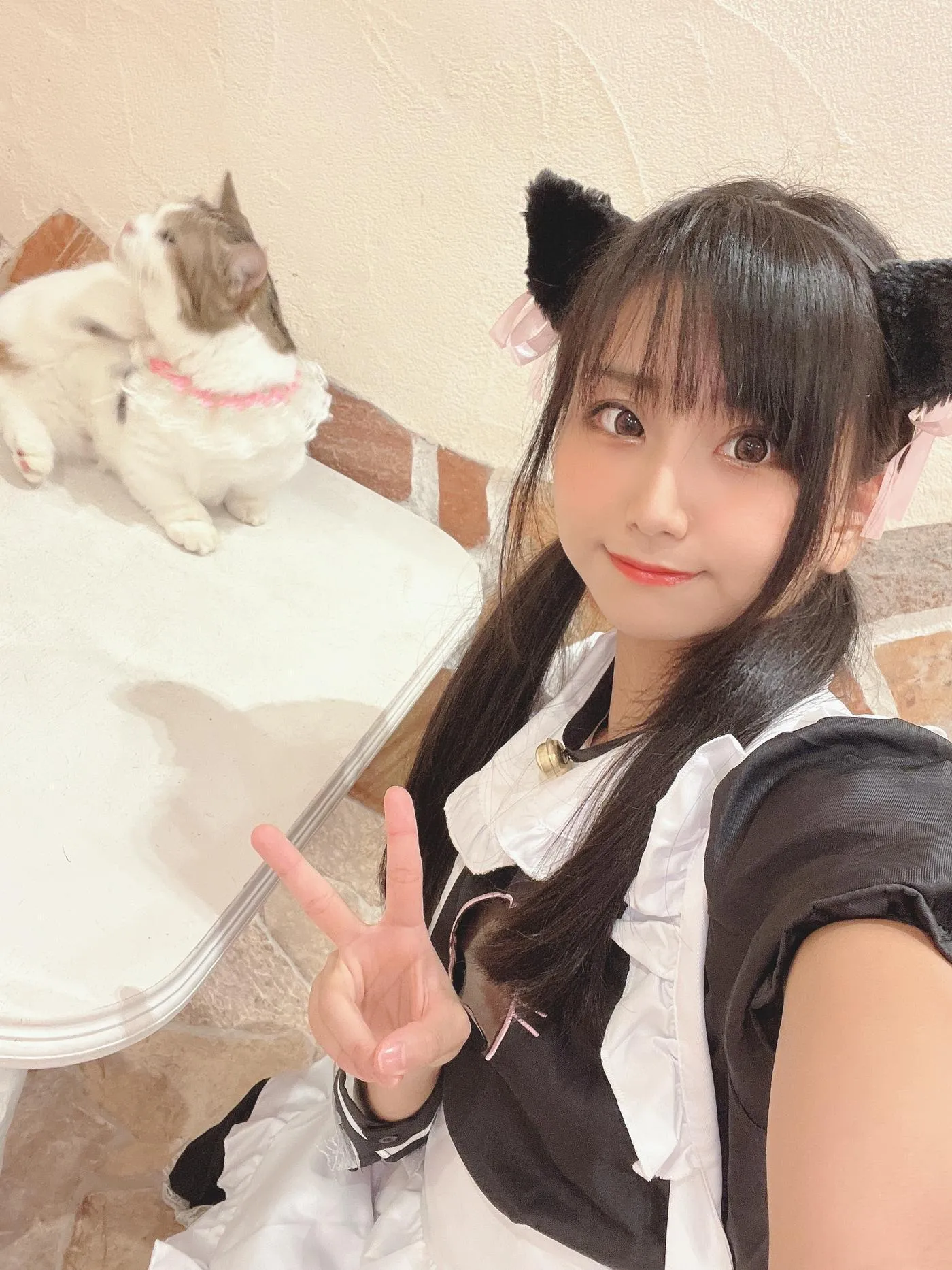 柳丸 – NO.12 [Fantia] 2022年09月写真合集(14期)-2022-09-26 猫カフェでﾈｺﾁｬﾝな柳丸 [66P]插图6