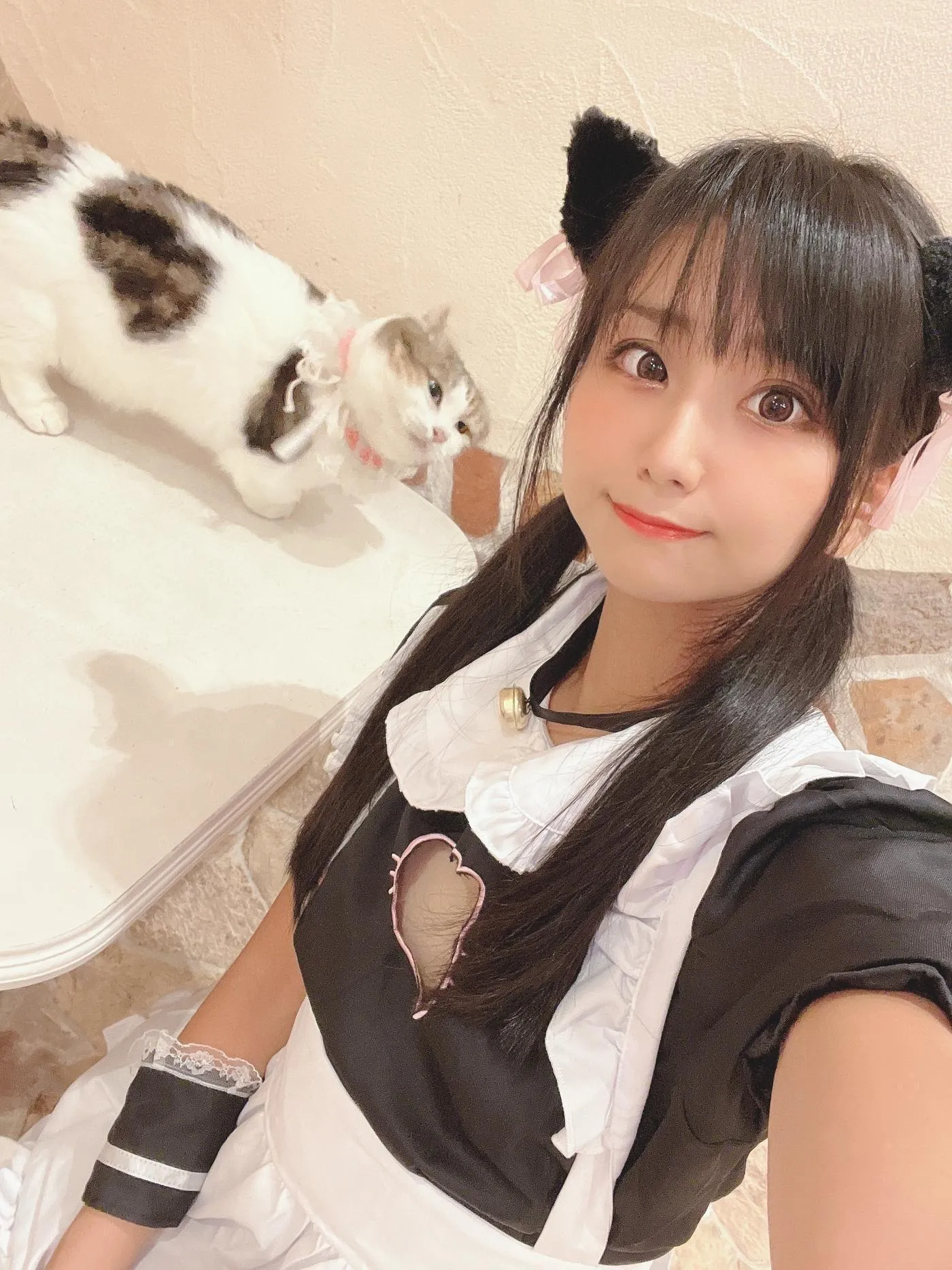 柳丸 – NO.12 [Fantia] 2022年09月写真合集(14期)-2022-09-26 猫カフェでﾈｺﾁｬﾝな柳丸 [66P]插图7