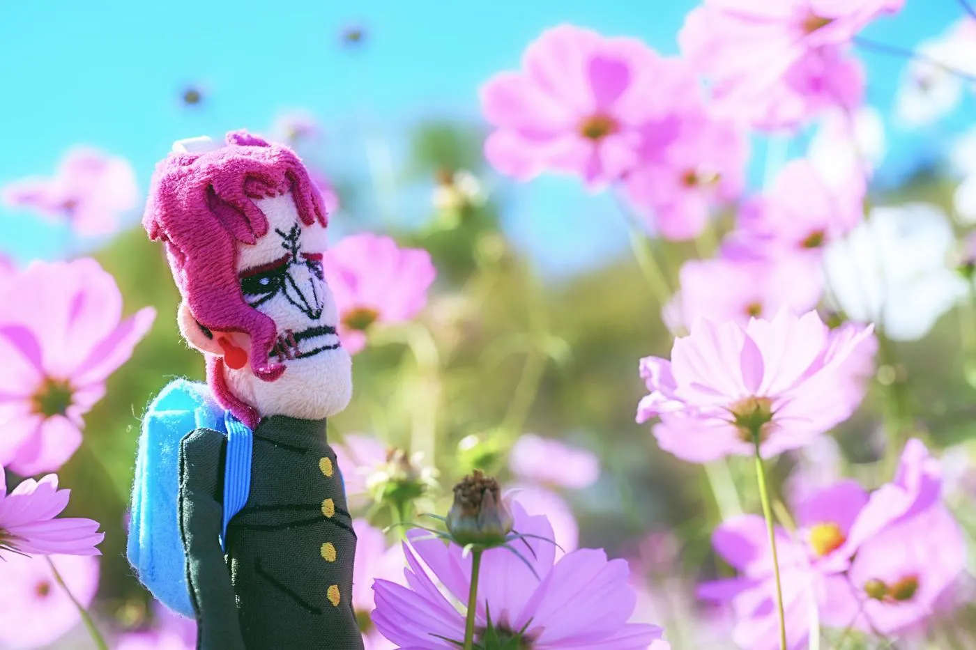 柳丸 – NO.13 [Fantia] 2022年10月写真合集(15期)-2022-10-27 黒革の柳丸とコスモス畑の思い出 [68P]插图1