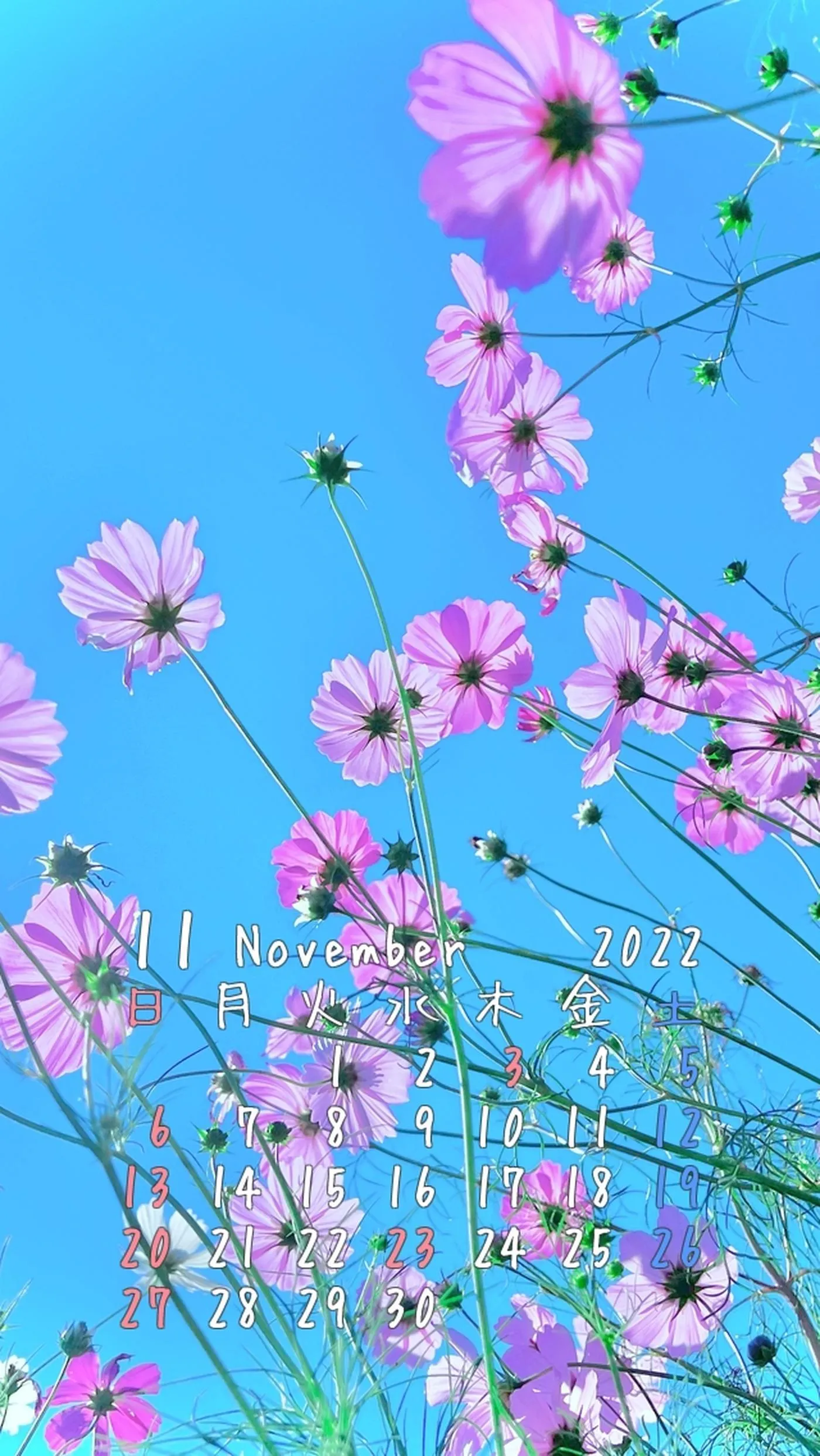 柳丸 – NO.13 [Fantia] 2022年10月写真合集(15期)-2022-10-31 ﾊﾛｳｨﾝｳｨﾝｳｨﾝ！?と11月カレンダー配布 [63P]插图9