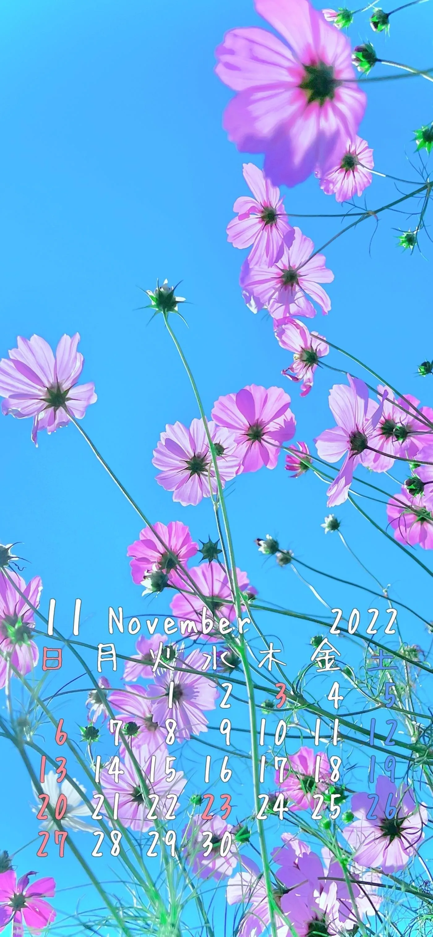 柳丸 – NO.13 [Fantia] 2022年10月写真合集(15期)-2022-10-31 ﾊﾛｳｨﾝｳｨﾝｳｨﾝ！?と11月カレンダー配布 [63P]插图
