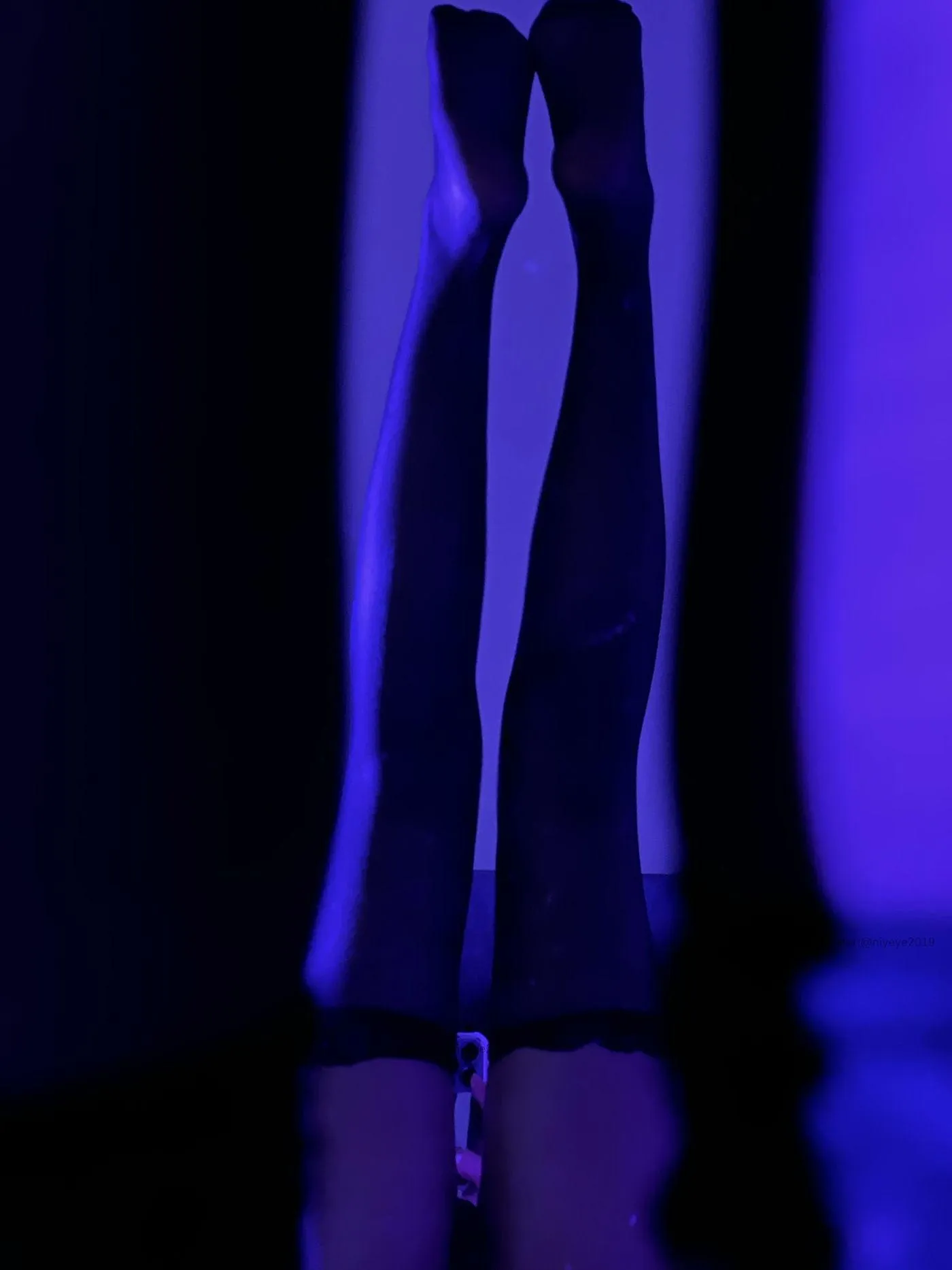白烨 – NO.41 夜色妖姬 [76P]插图8