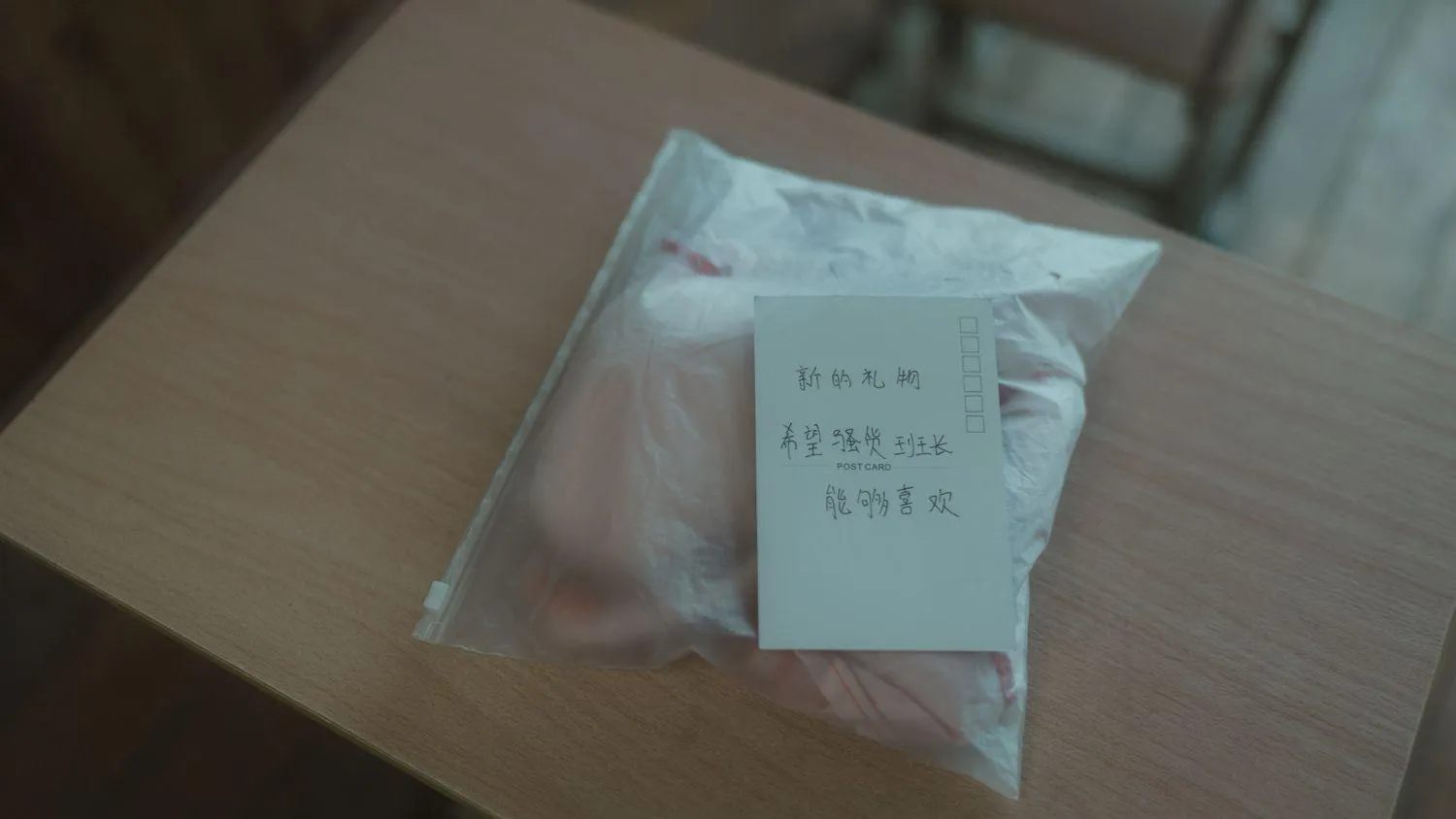 西园寺南歌 – NO.13 与班长的游戏 [134P]插图9