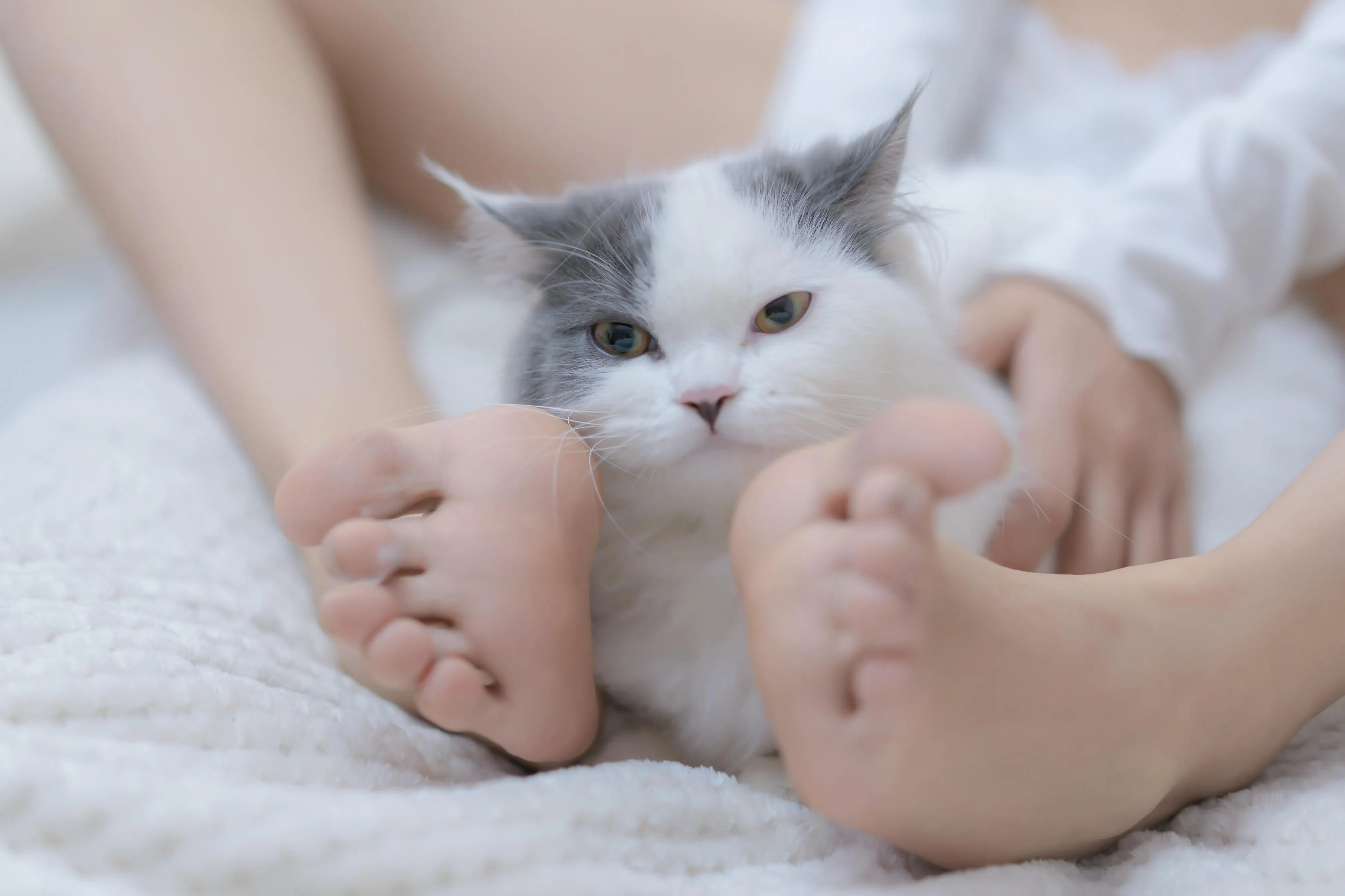 过期米线线喵 – NO.114 我和猫 [90P]插图1