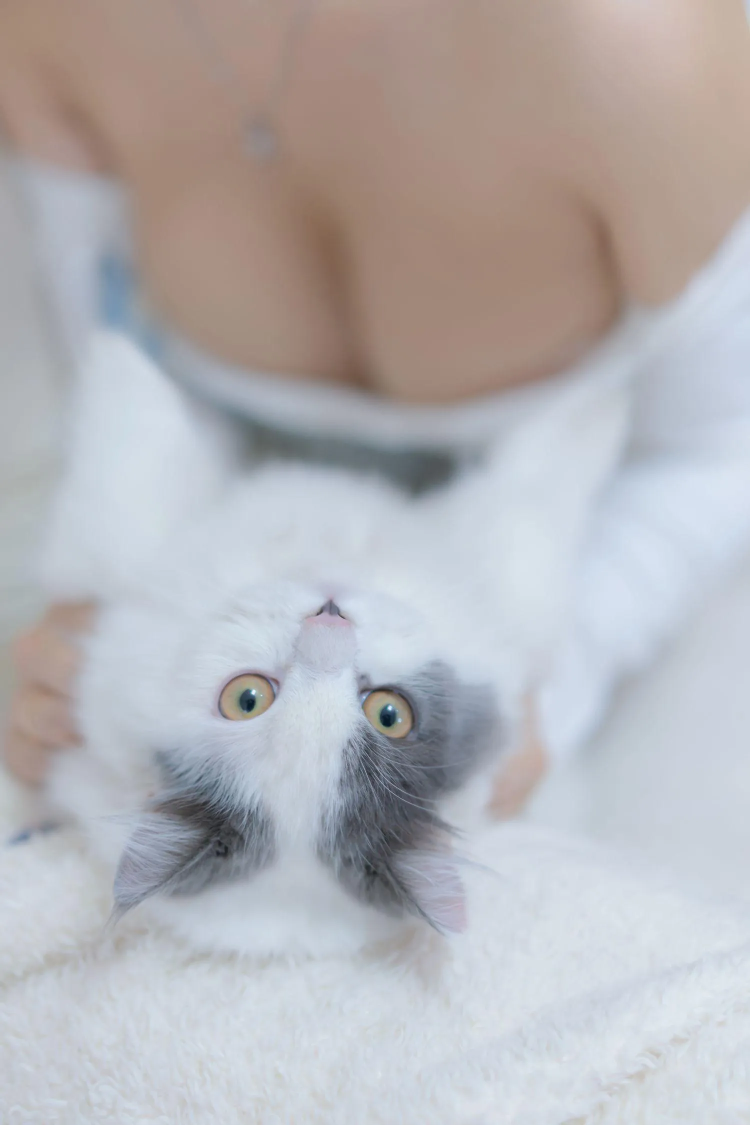 过期米线线喵 – NO.114 我和猫 [90P]插图9