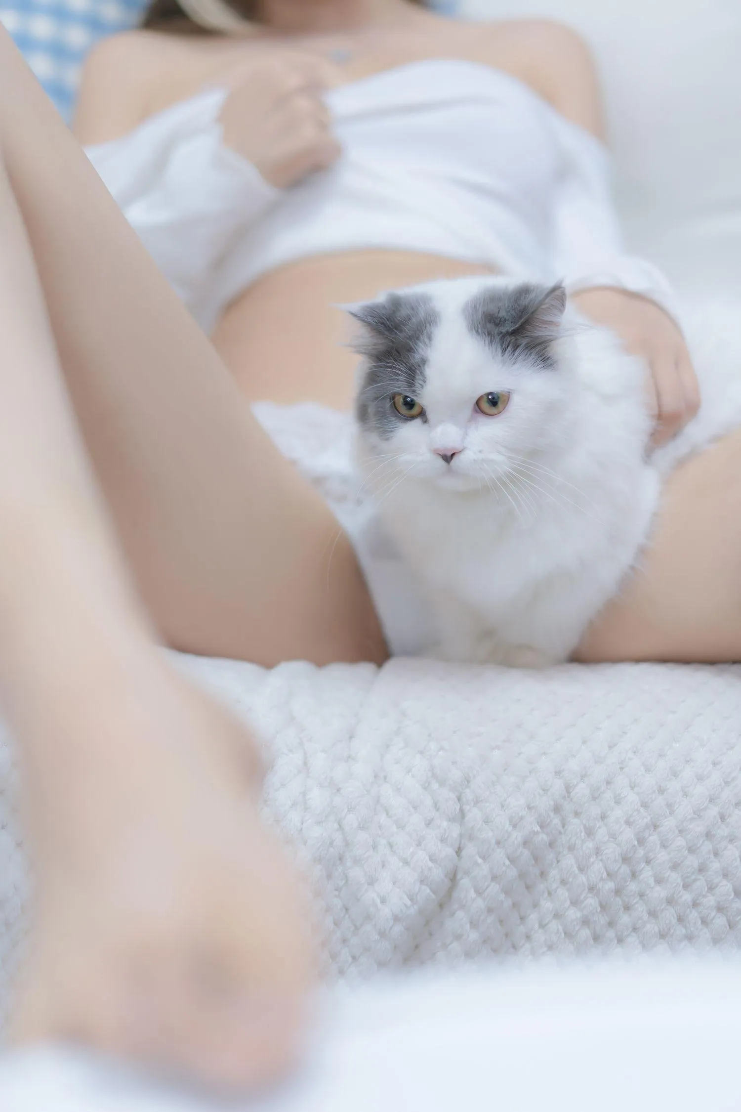 过期米线线喵 – NO.114 我和猫 [90P]插图2