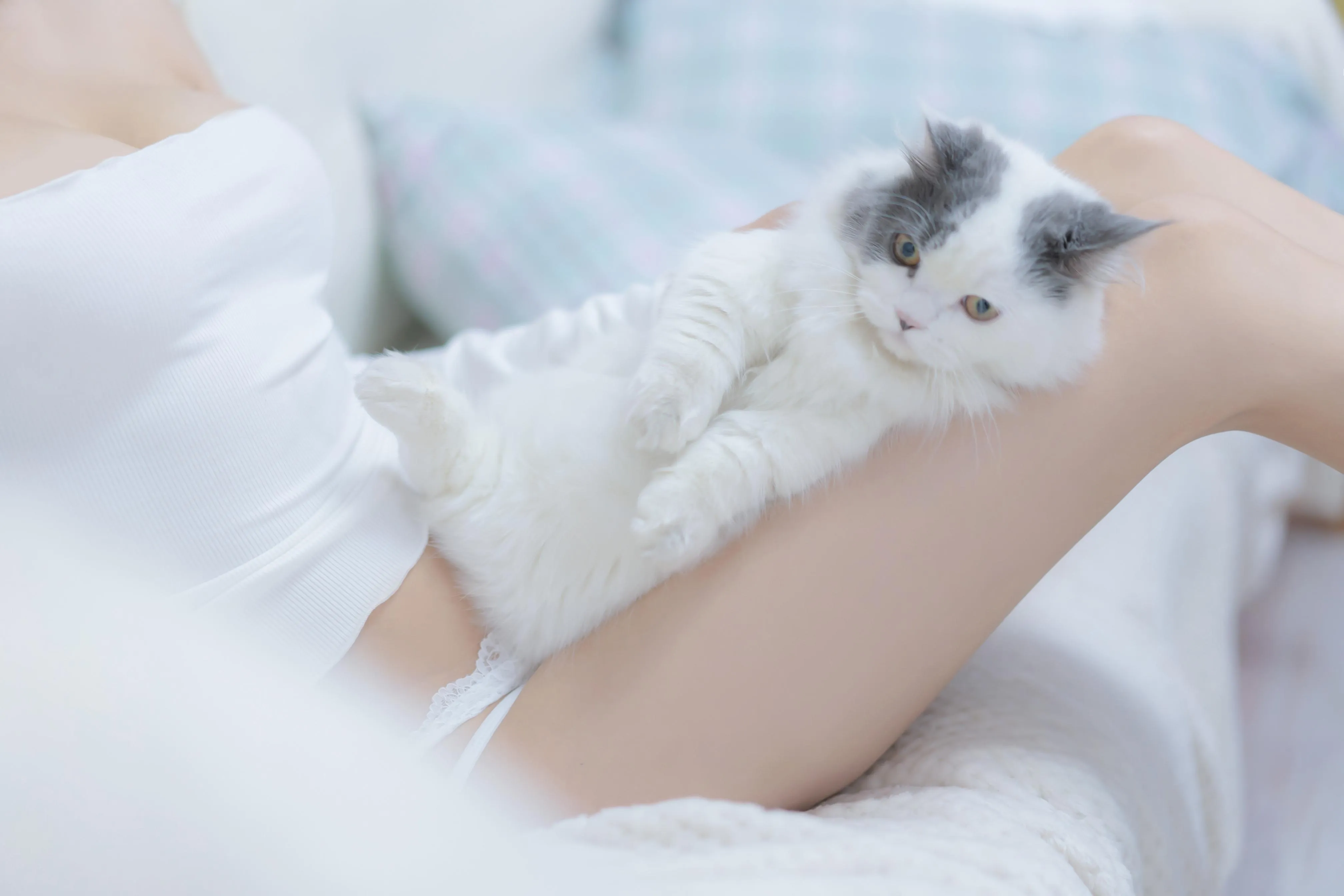 过期米线线喵 – NO.114 我和猫 [90P]插图9