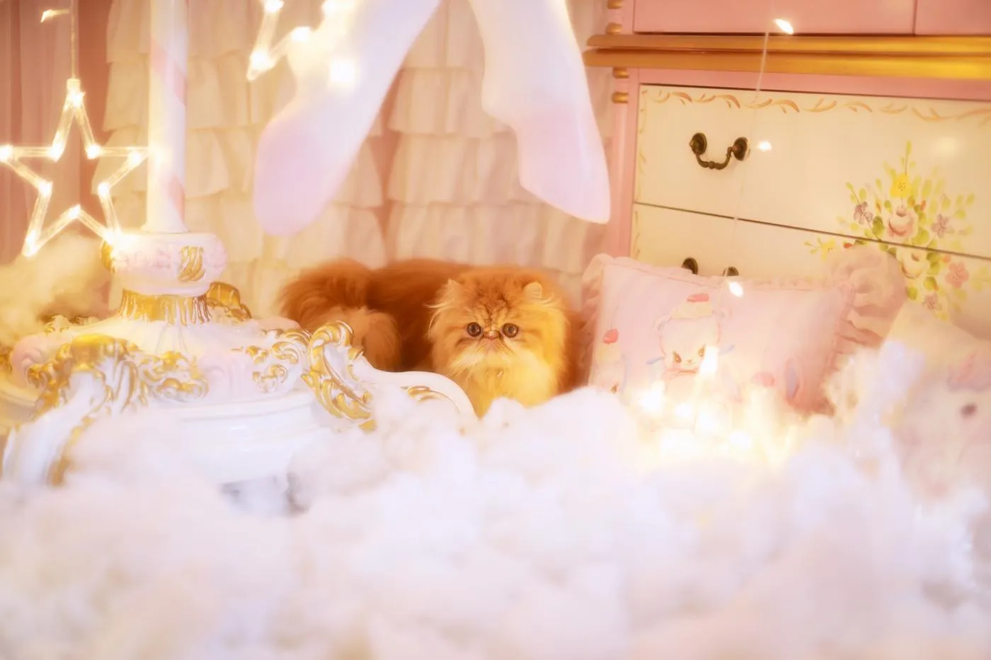 鳗鱼霏儿 – NO.18 猫 [20P]插图6