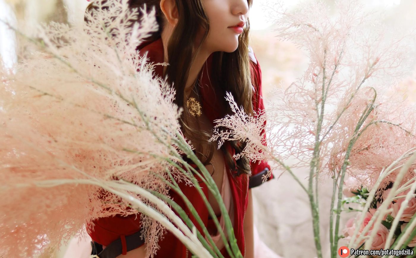 Potato Godzilla – NO.14 Aeris [74P]插图2