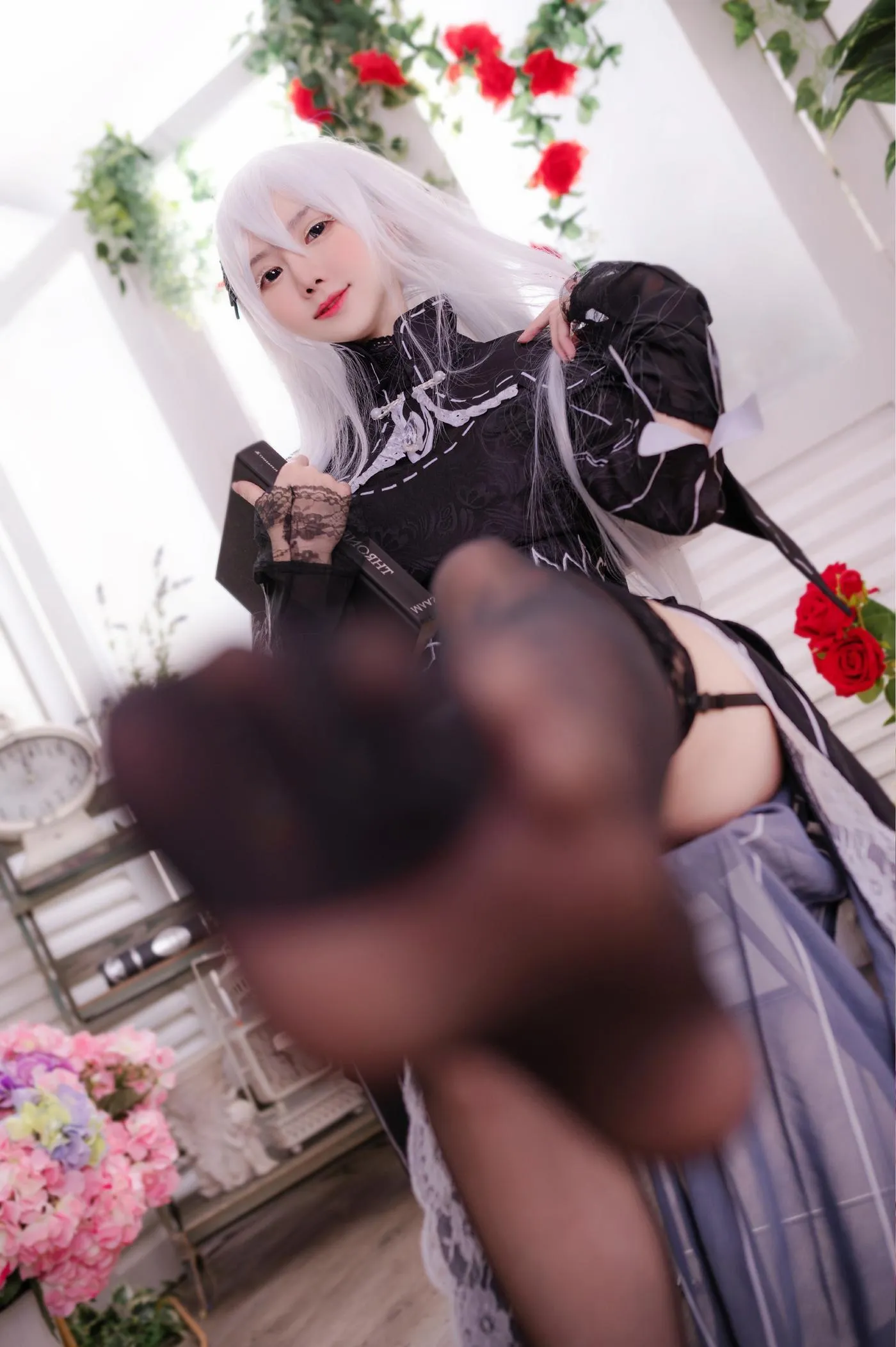 Sally Dorasnow – NO.42 Echidna [20P]插图2