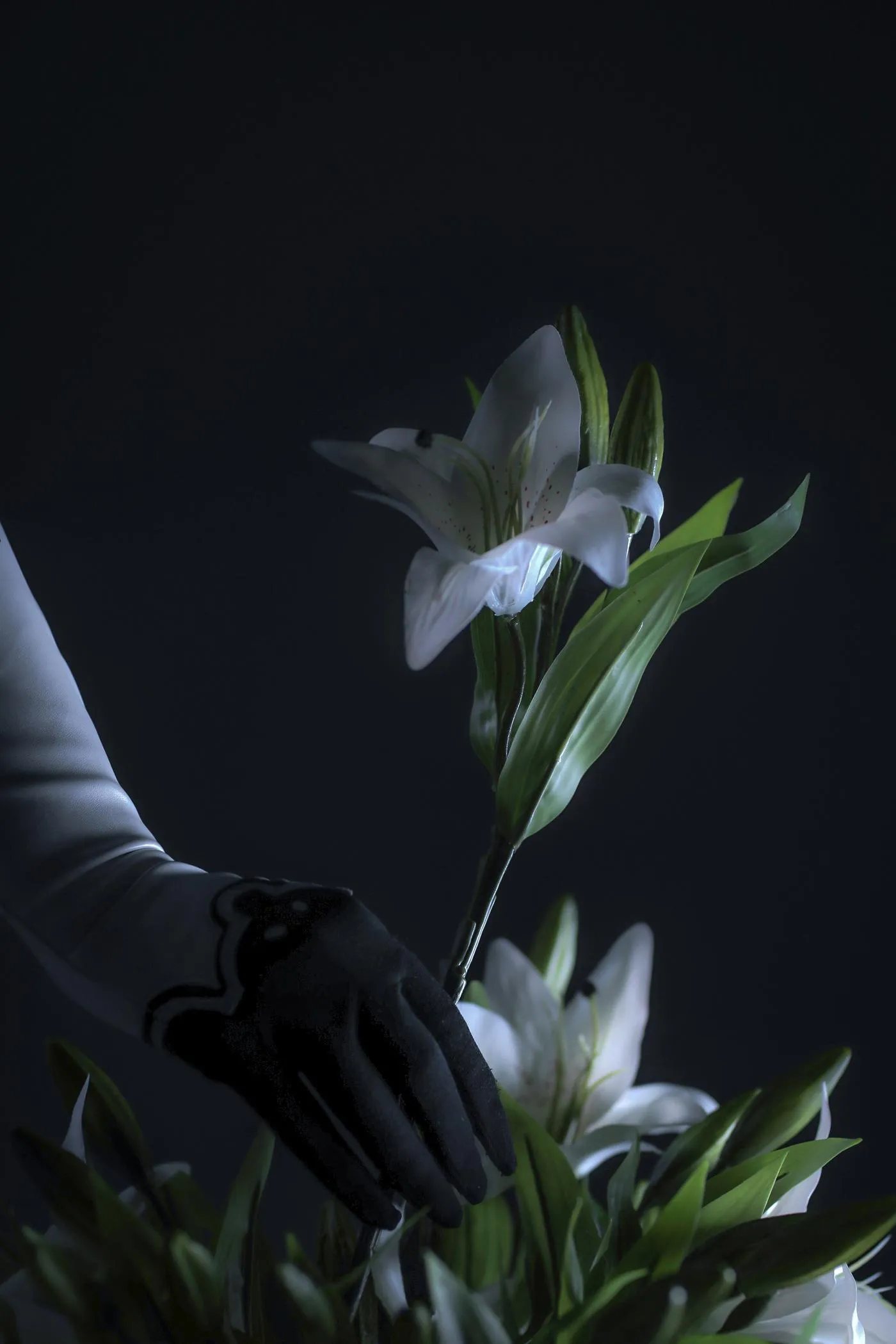 Sayathefox – NO.02 2B Floral [10P]插图5