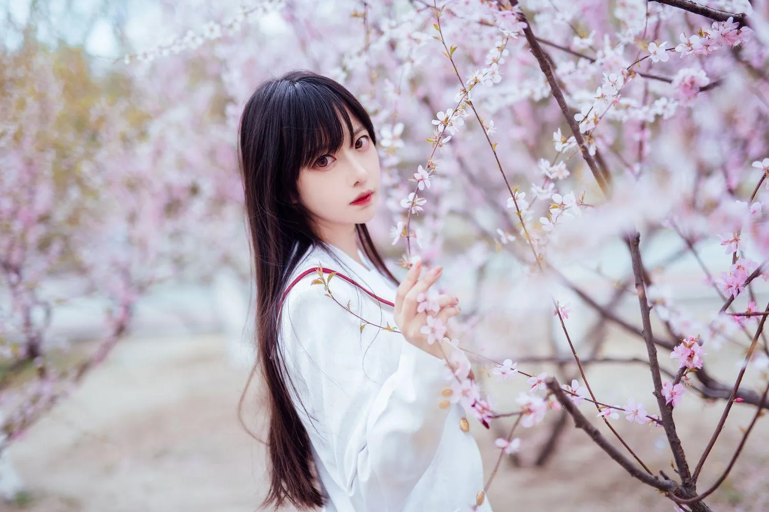 Shika小鹿鹿 – NO.47 樱花 [13P]插图5