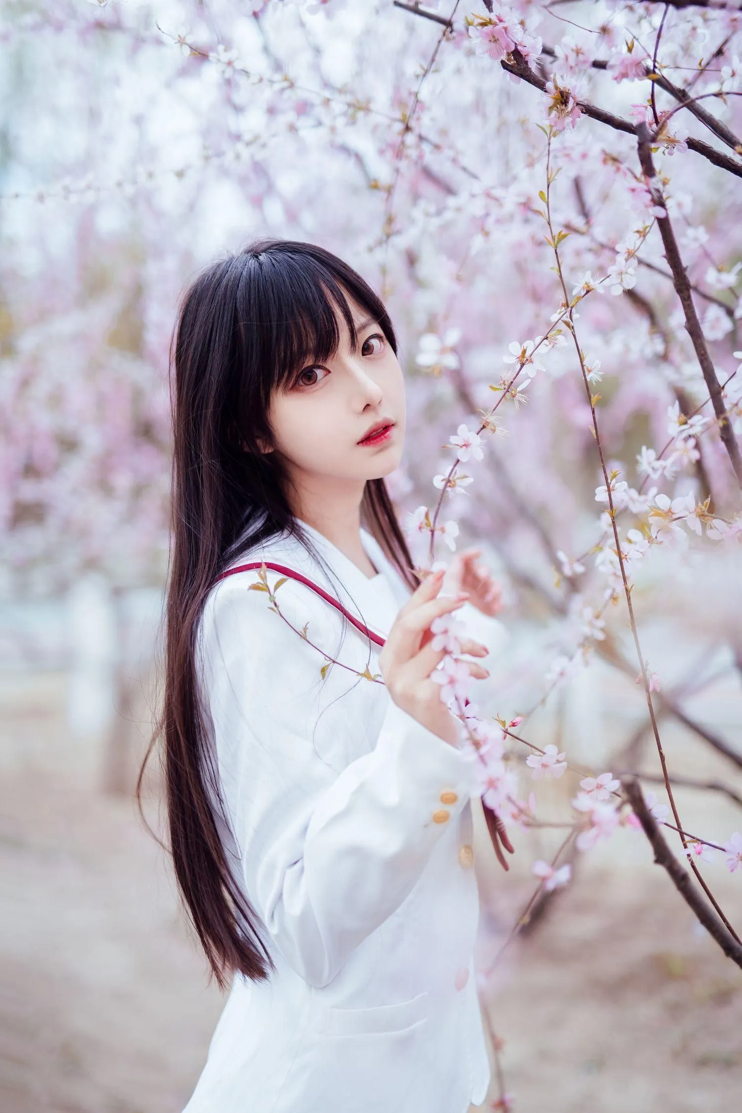 Shika小鹿鹿 – NO.47 樱花 [13P]插图6