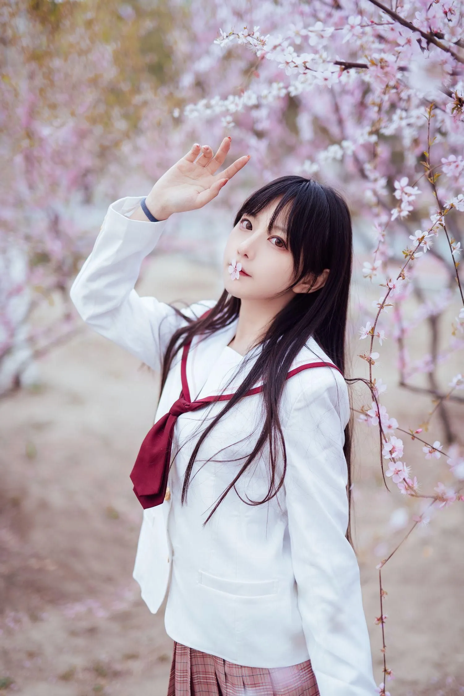 Shika小鹿鹿 – NO.47 樱花 [13P]插图7