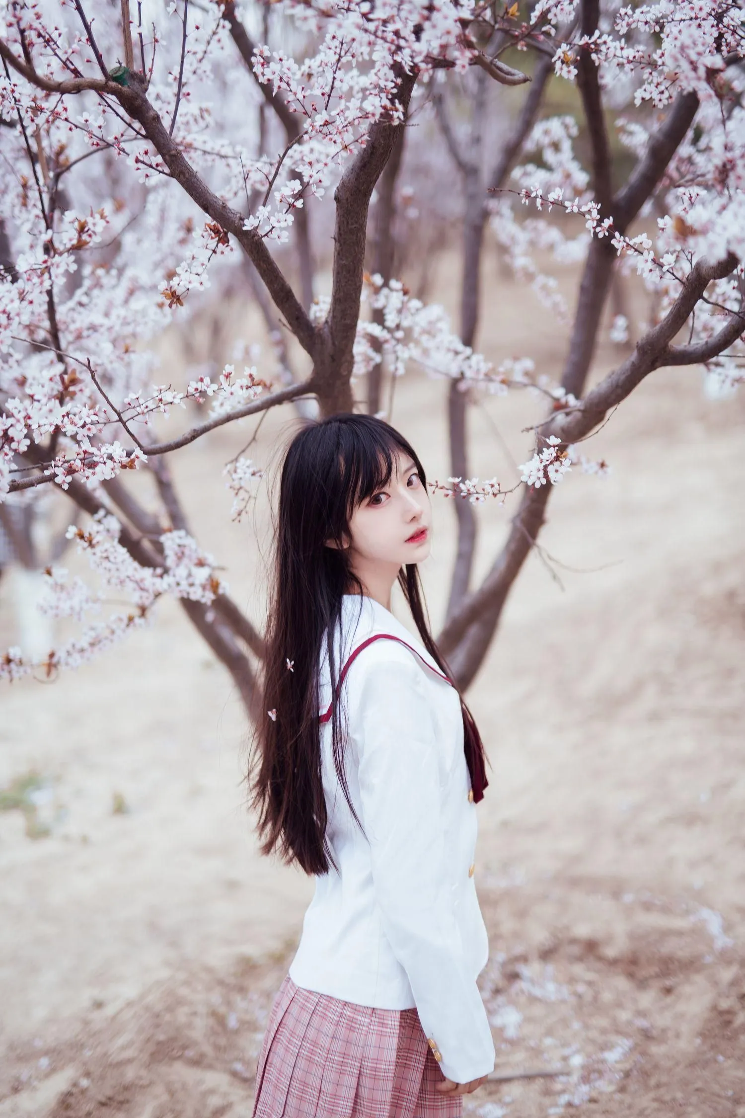 Shika小鹿鹿 – NO.47 樱花 [13P]插图1