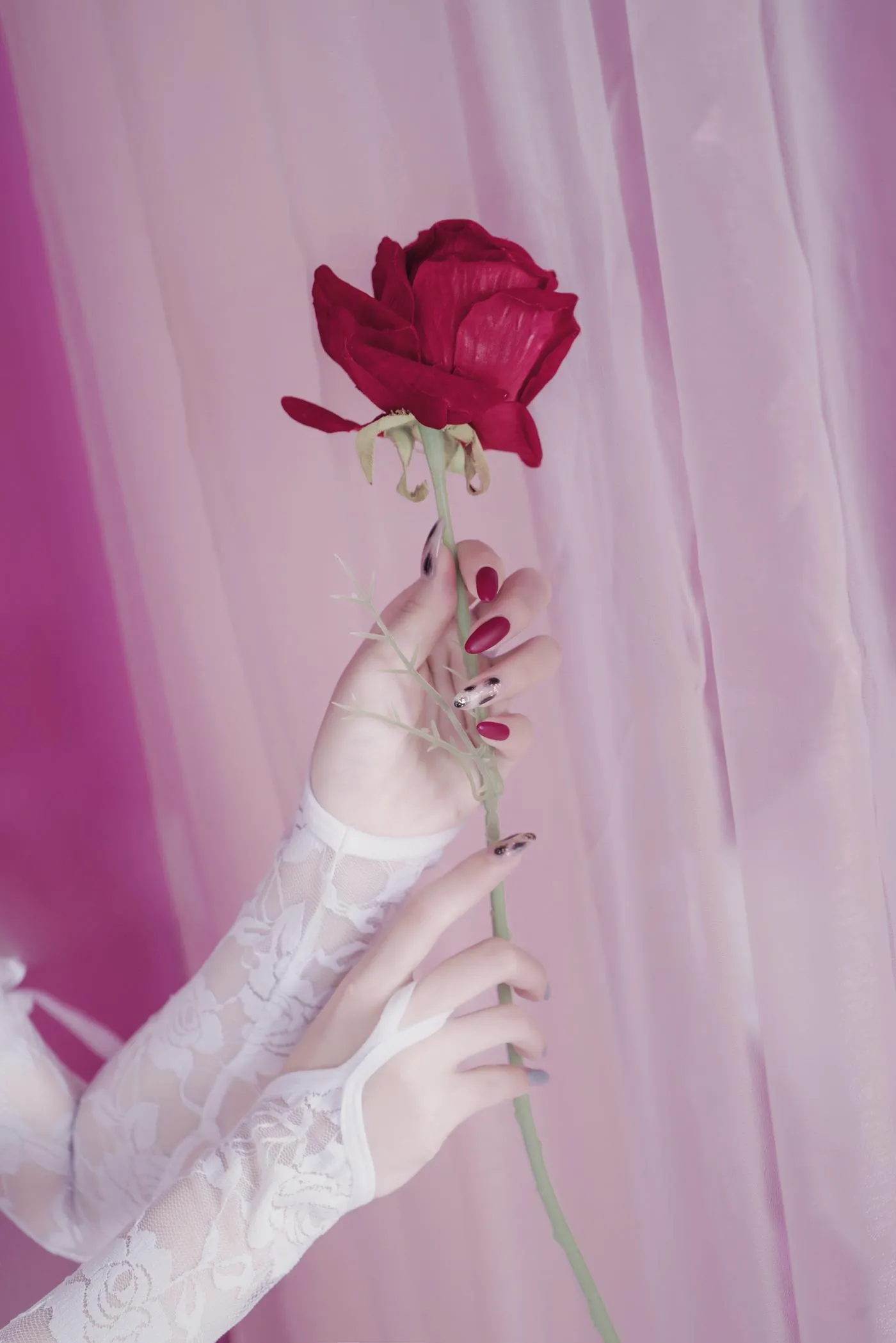 eloise软软 – NO.05 入水蕾丝 [34P]插图1