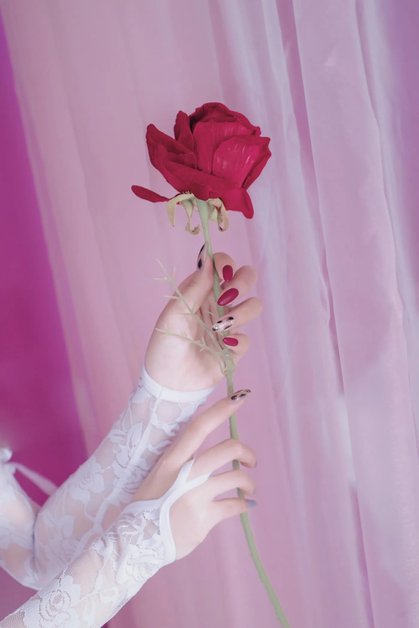 eloise软软 – NO.05 入水蕾丝 [34P]插图2
