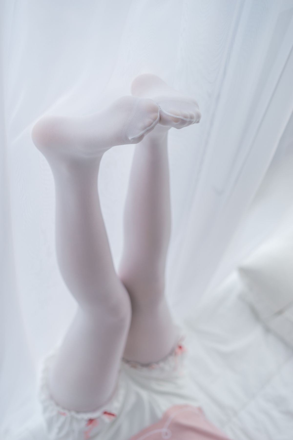 喵写真001插图