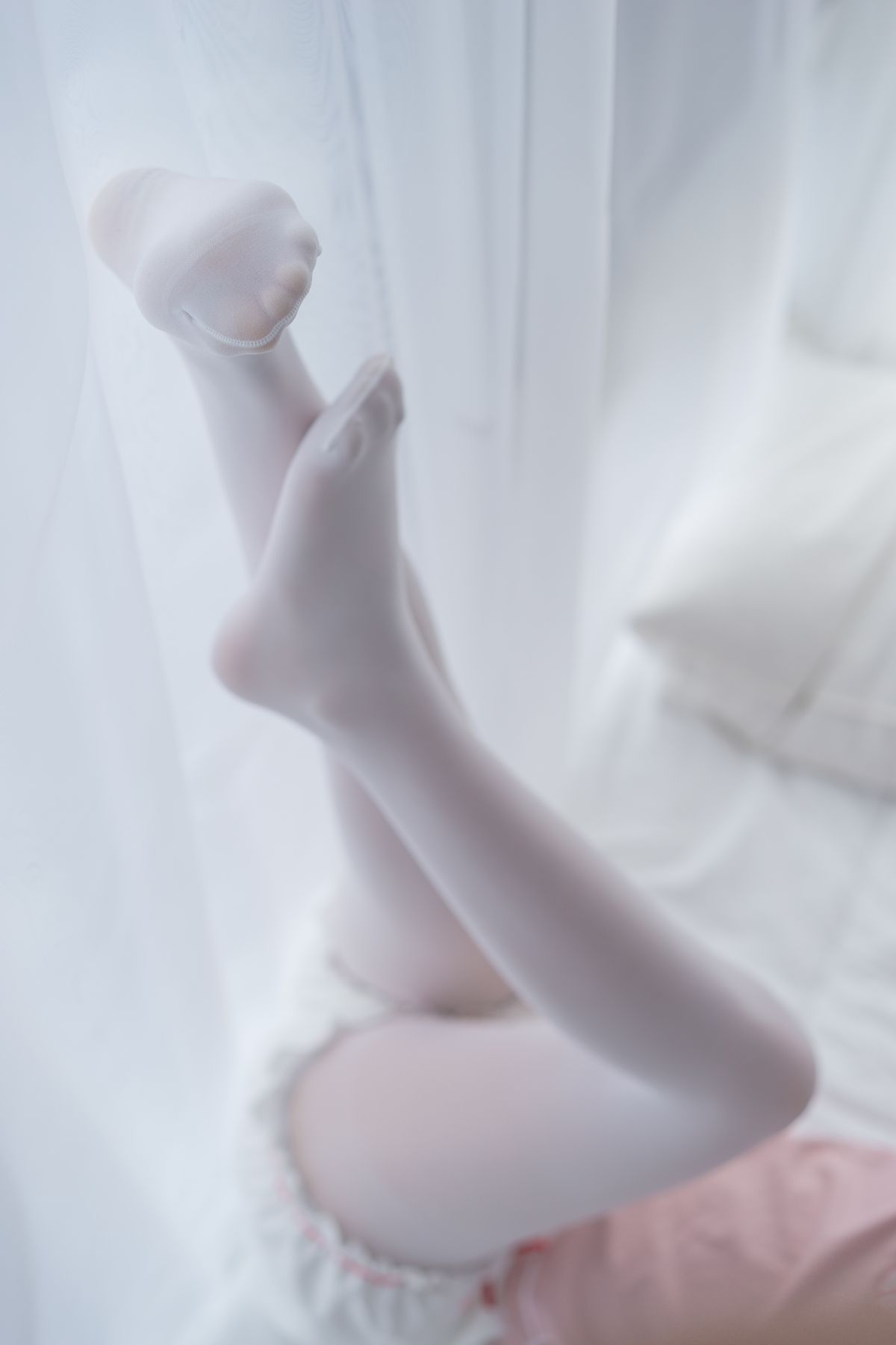 喵写真001插图1