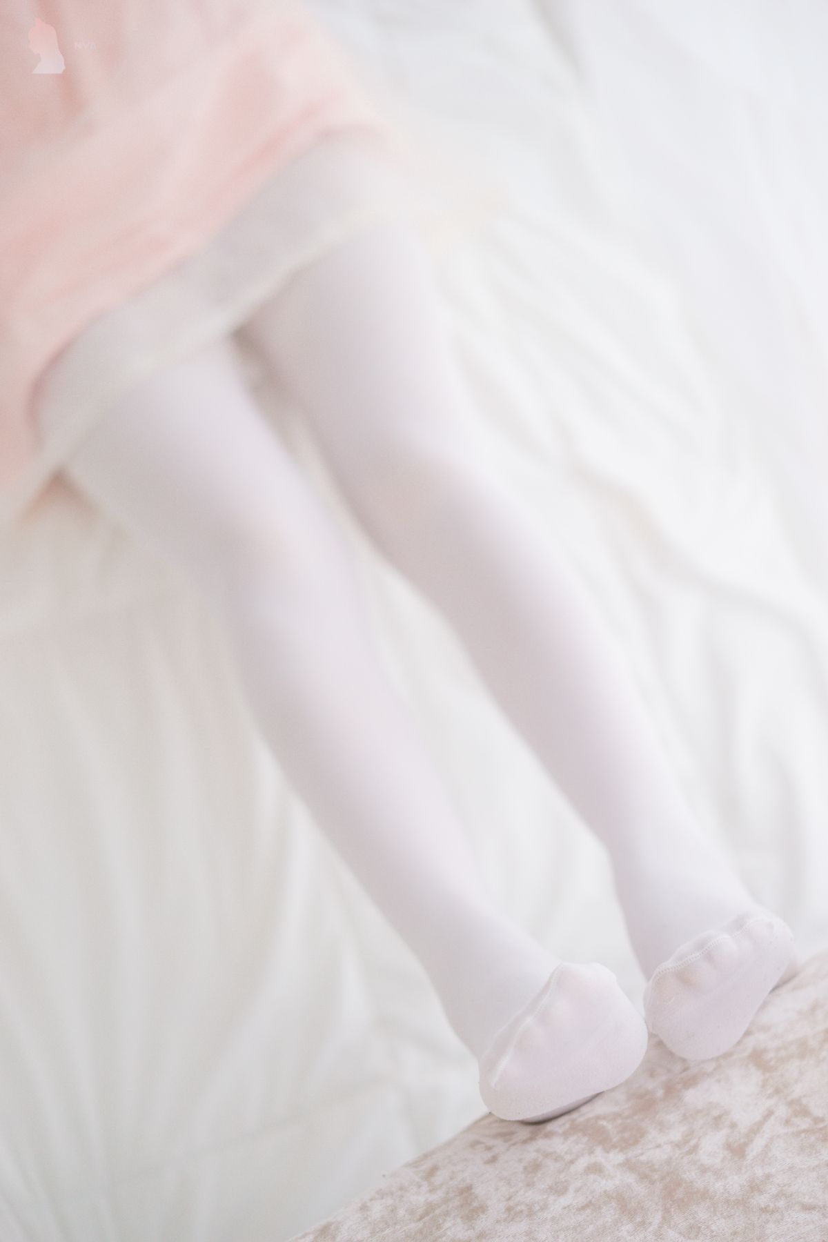 喵写真002插图5