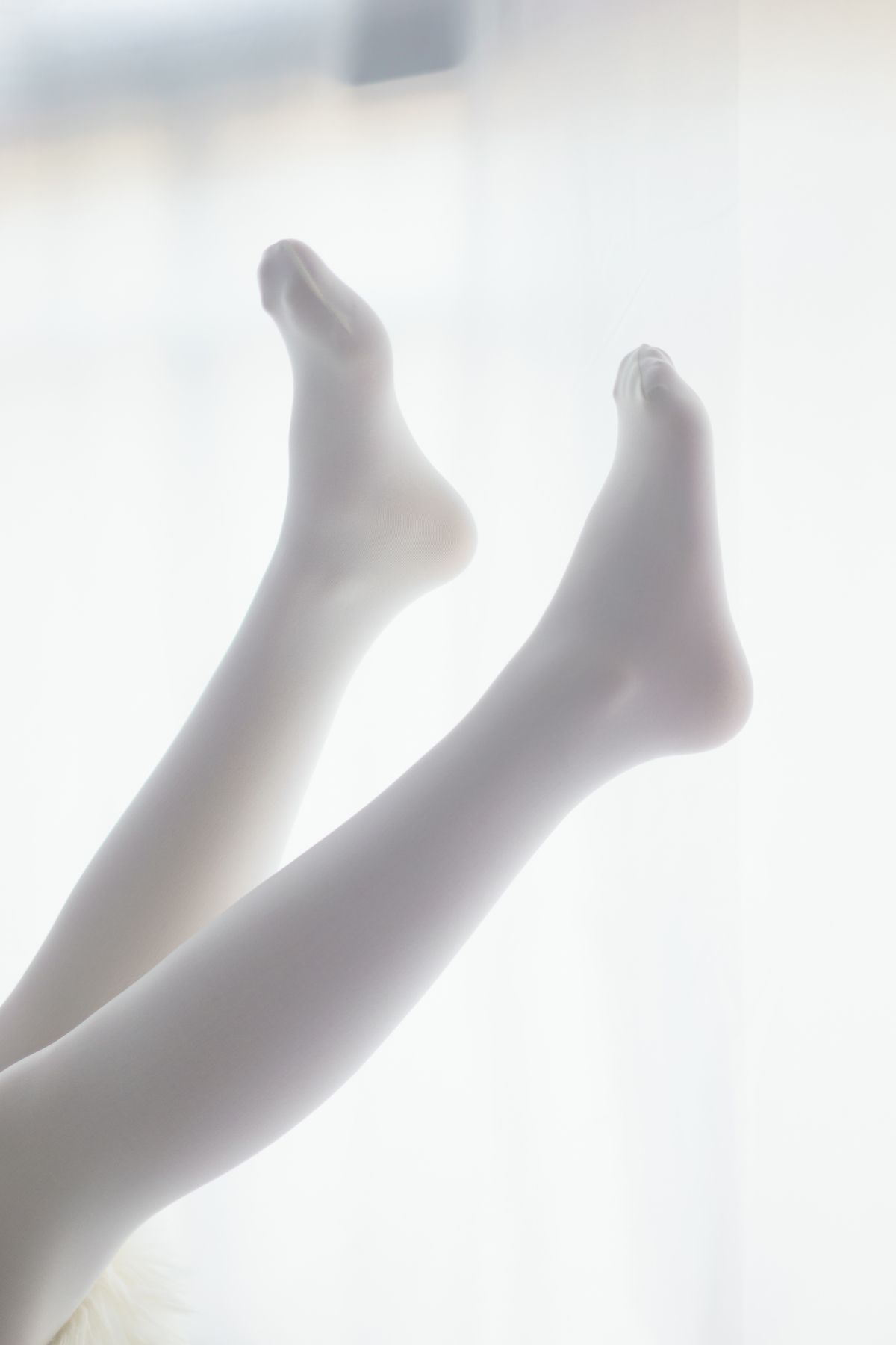 喵写真005插图9