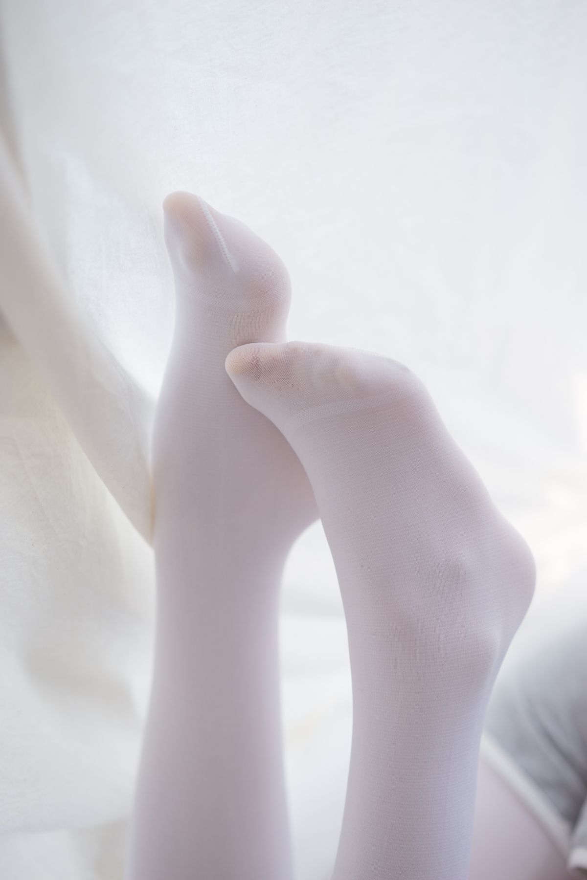 喵写真012插图